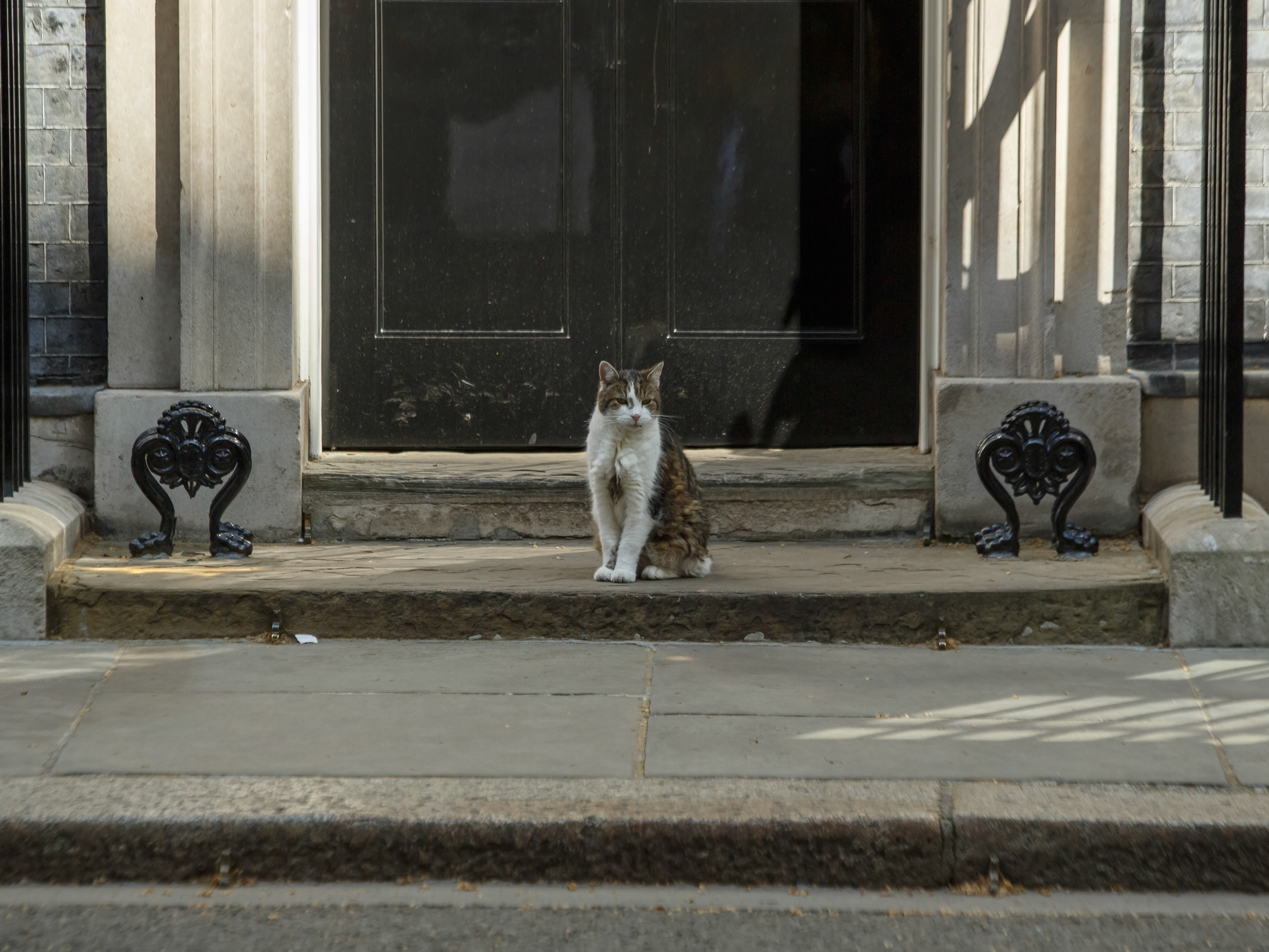 April 22nd, 2026 - Chief Mouser to the Cabinet Office Larry at Downing Street