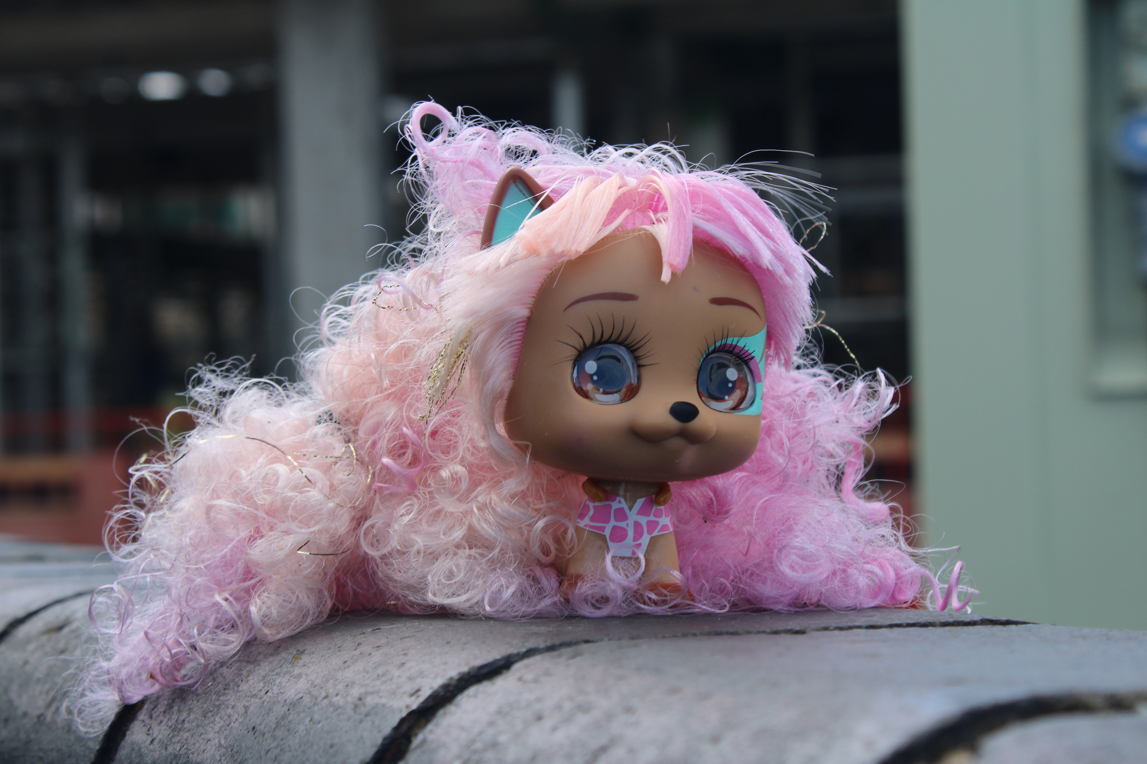 June 20th, 2024 - A photo of an abandoned toy