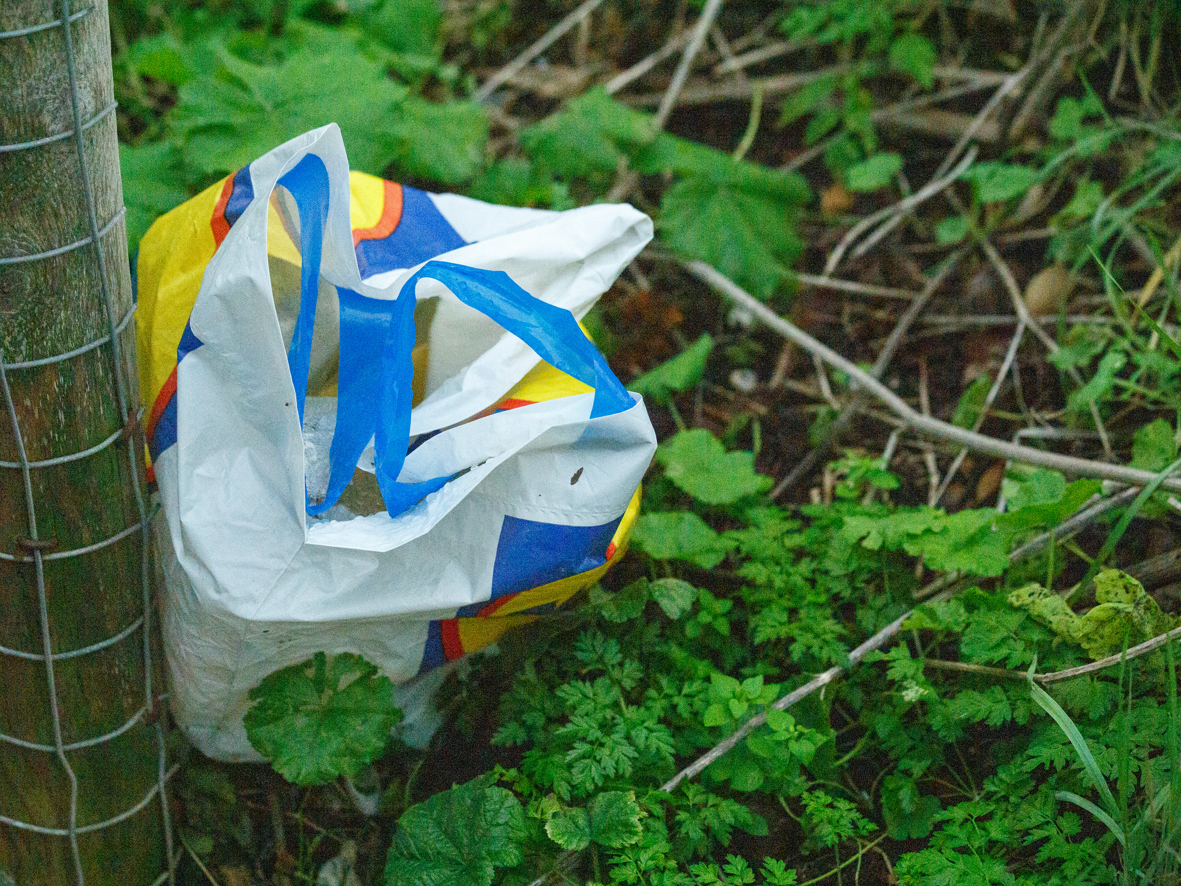 January 18th, 2026 - A shopping bag dumped in a field