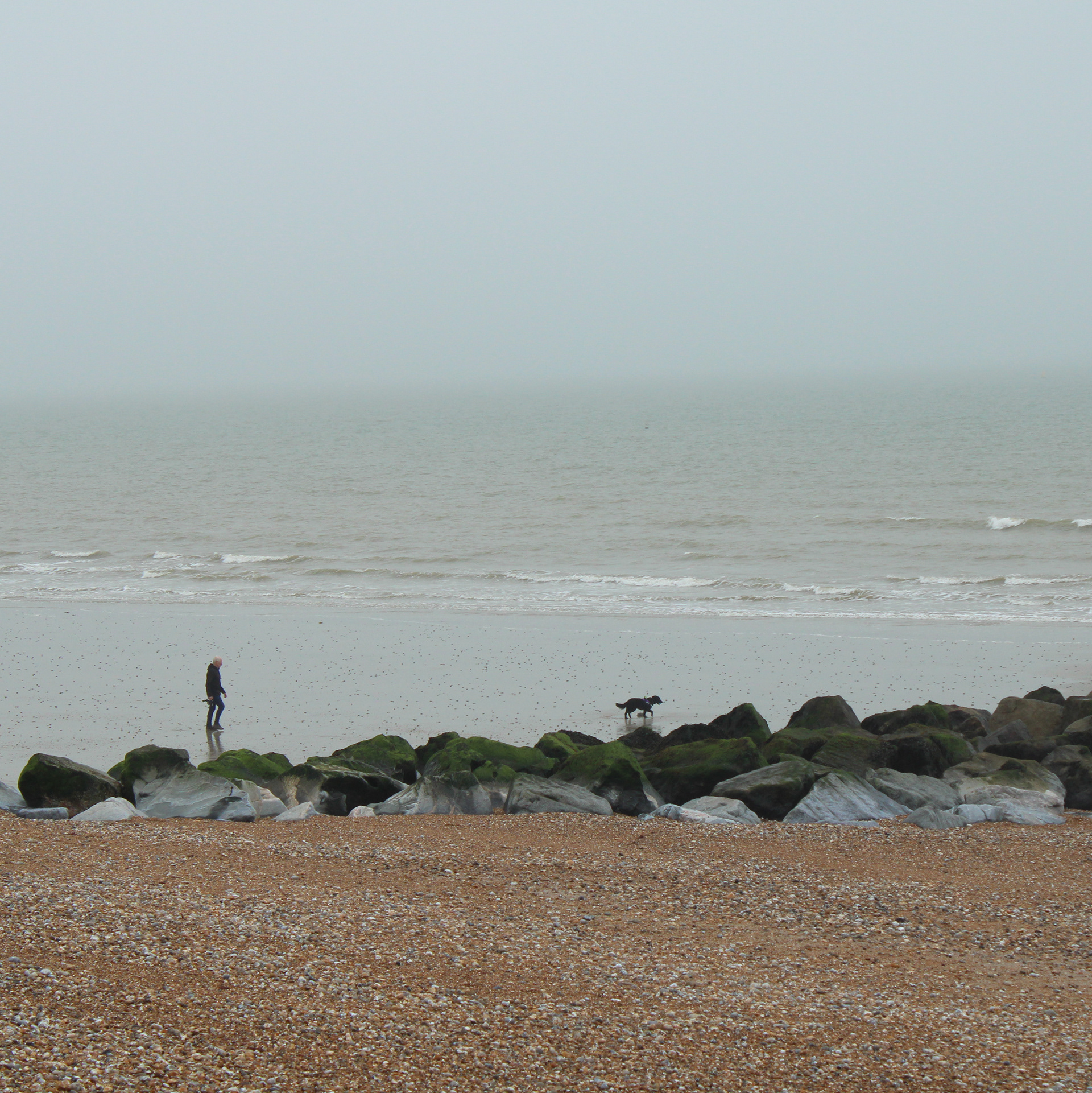 April 11th, 2024 - A man and his dog walk along the coast