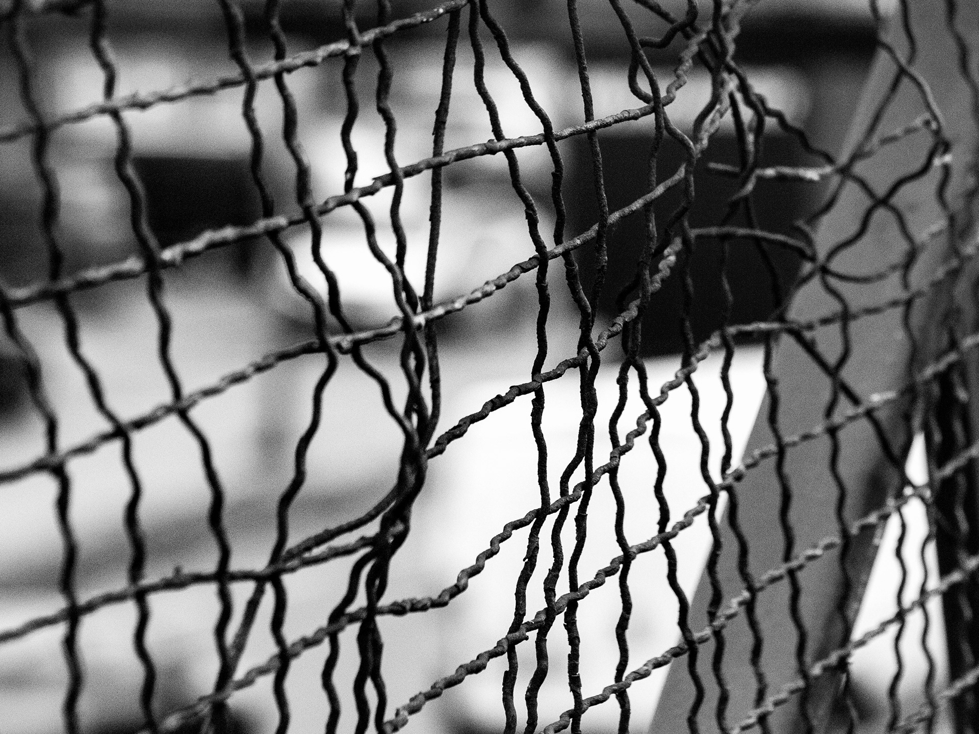 Feb 7, 2026 - A monochrome shot of a damaged fence
