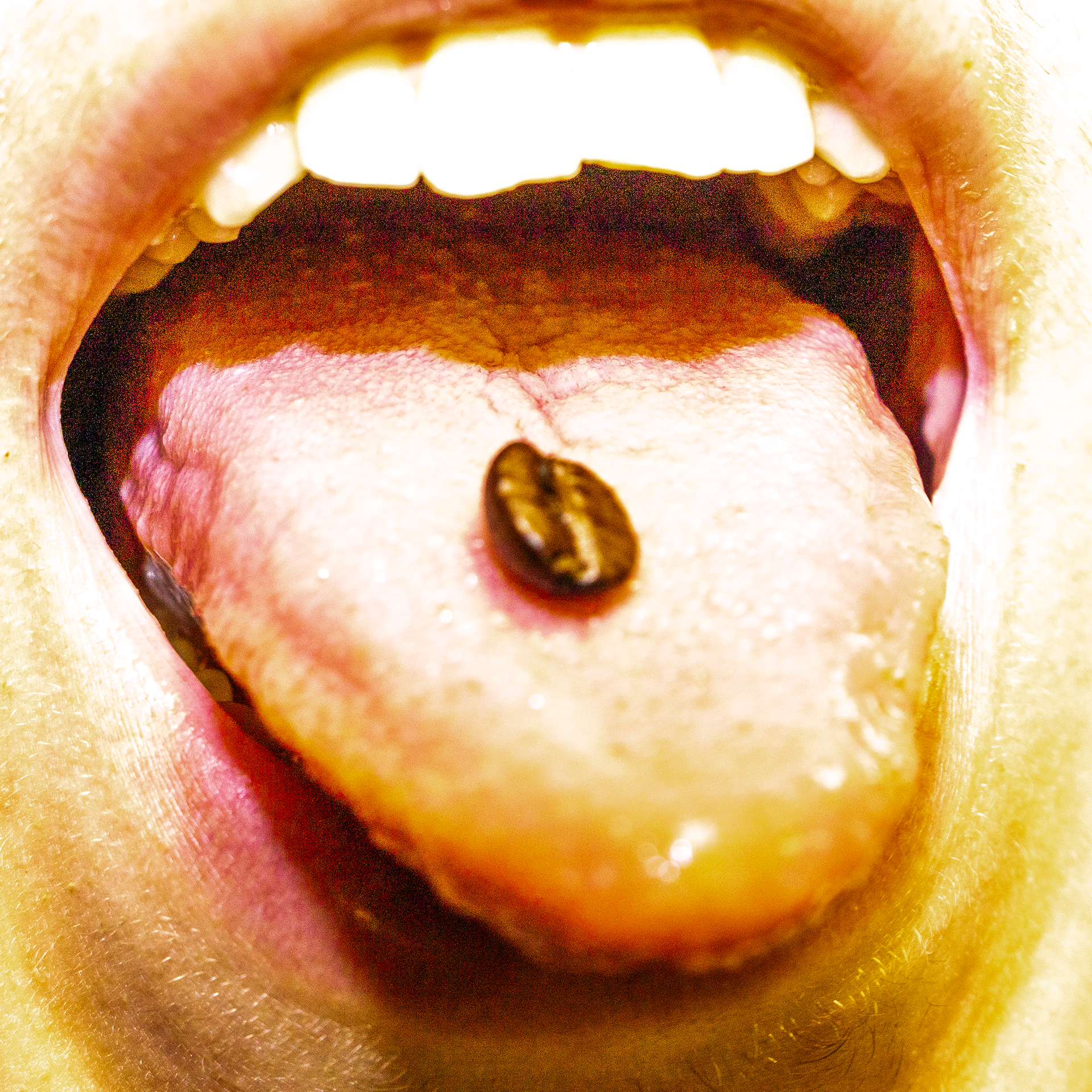 January 8th, 2026 - A coffee bean on someone's tongue