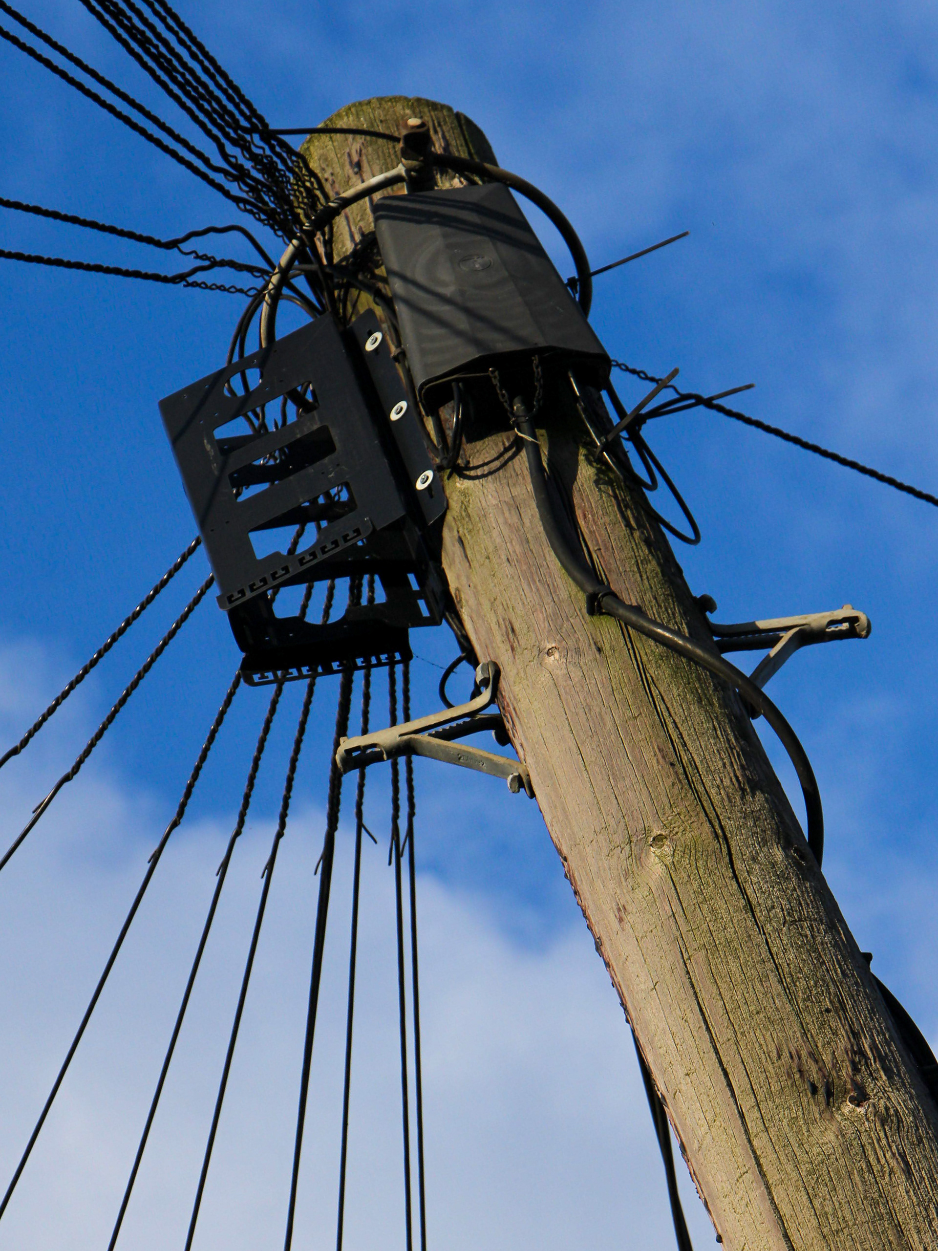 January 29th, 2026 - A telephone pole