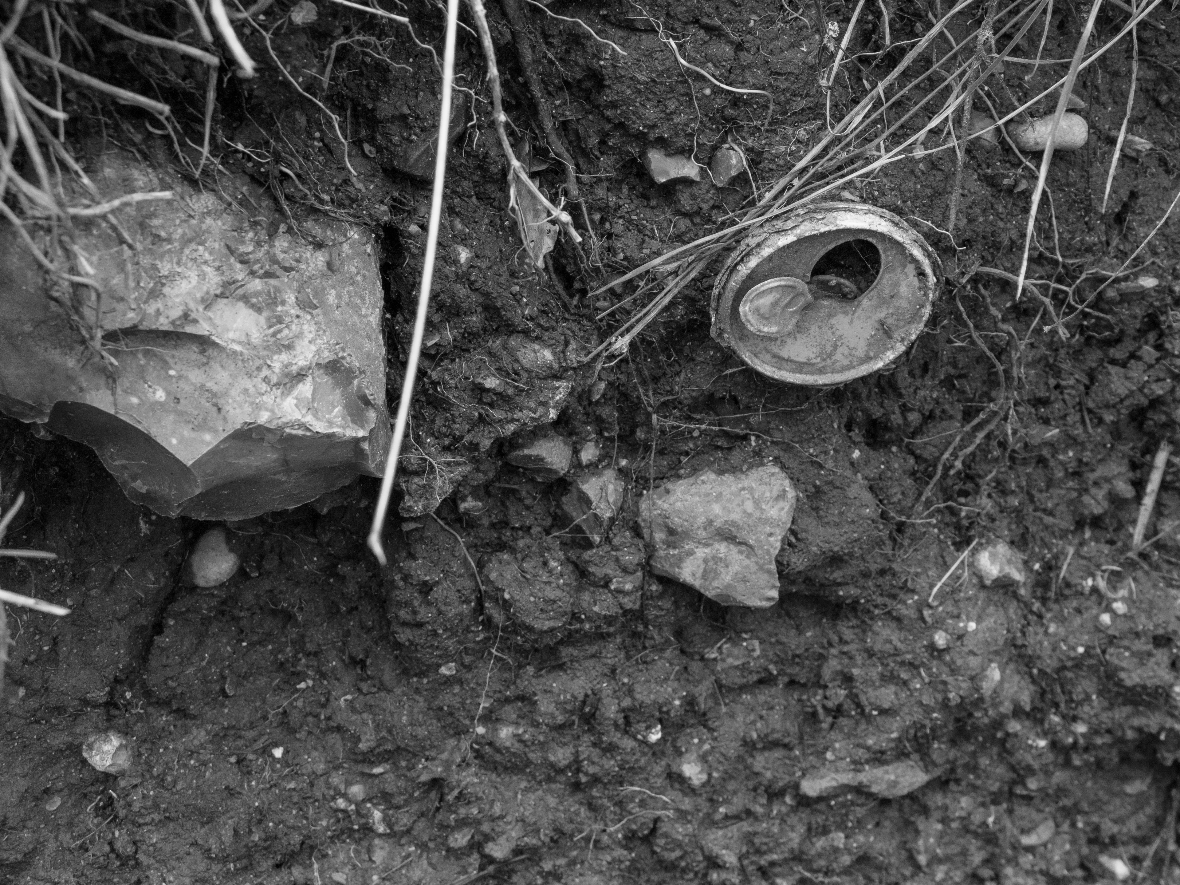 Feb 18, 2026 - Signs of litter deep in some soil