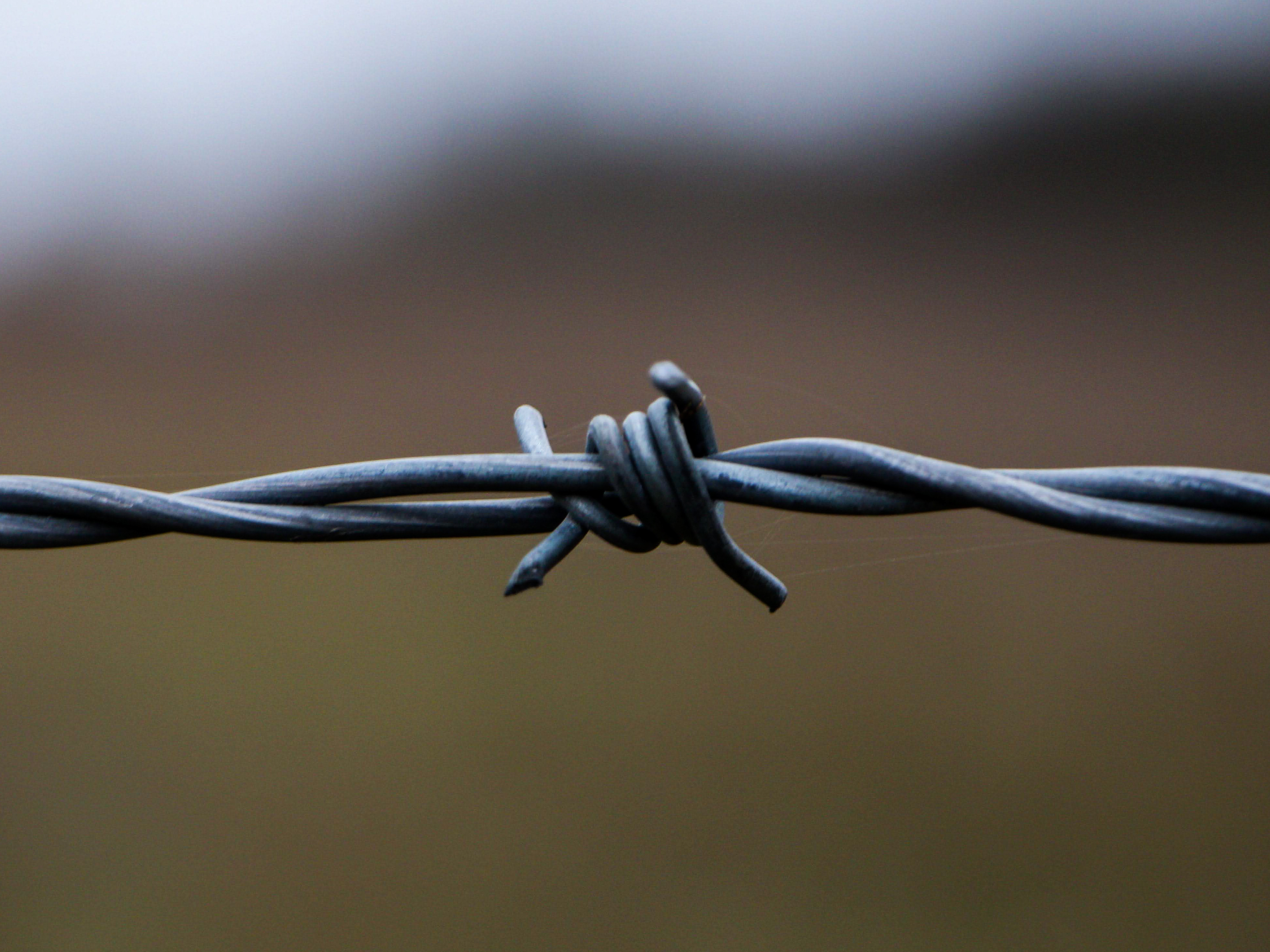 January 29th, 2026 - A barbed wire fence