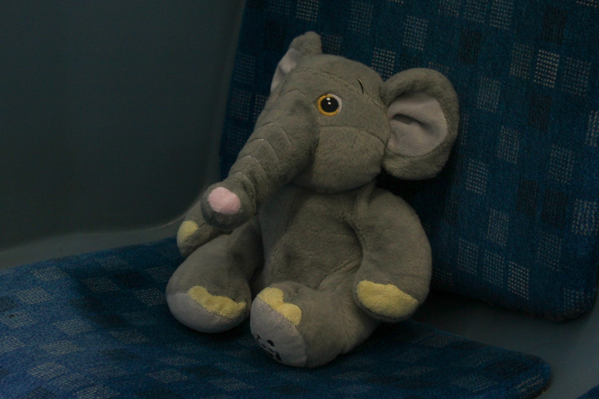 January 28th, 2024 - A elephant on a seat on a bus