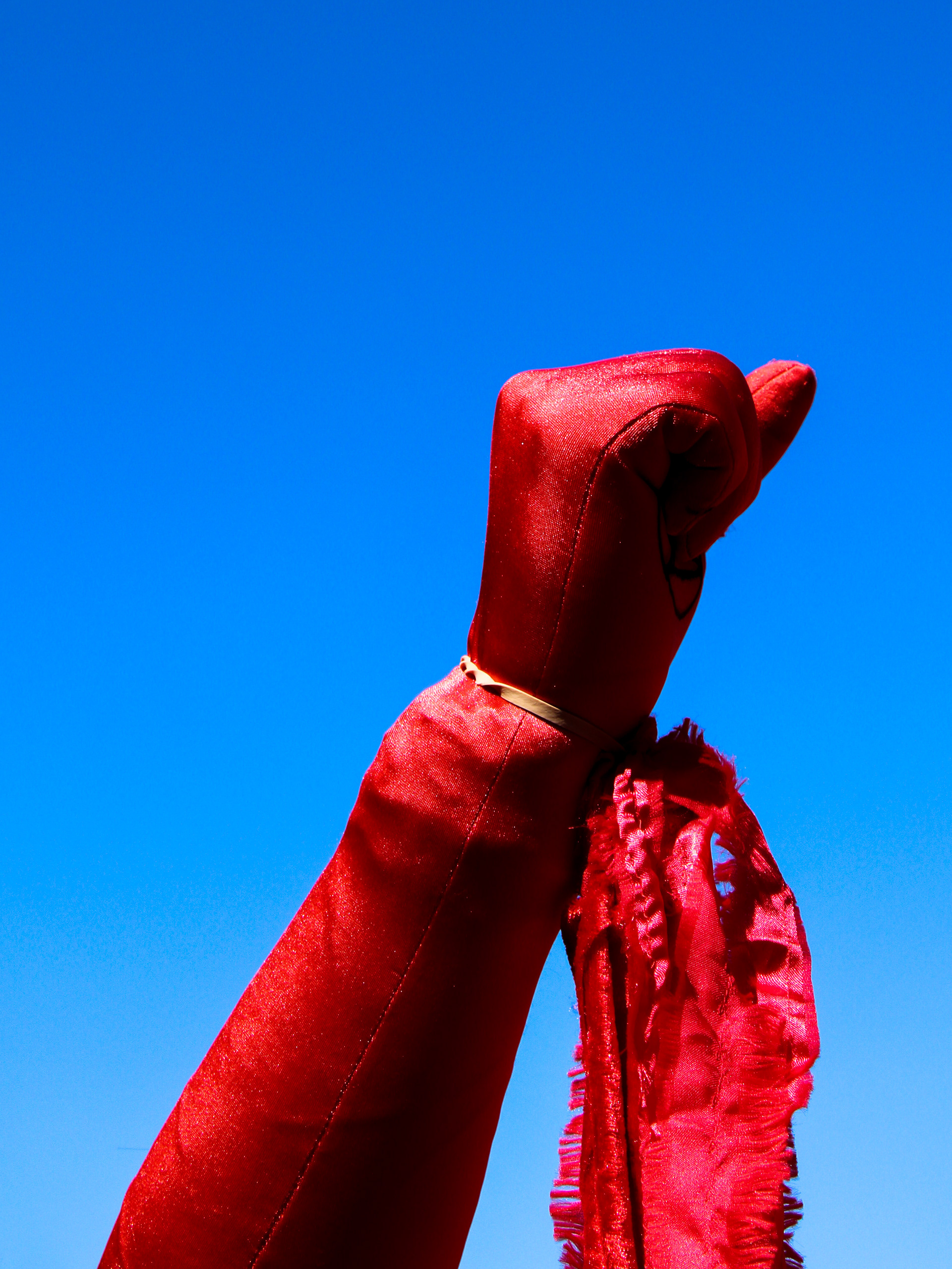 May 10th, 2025 - A member of the Red Rebels has their fist in the air