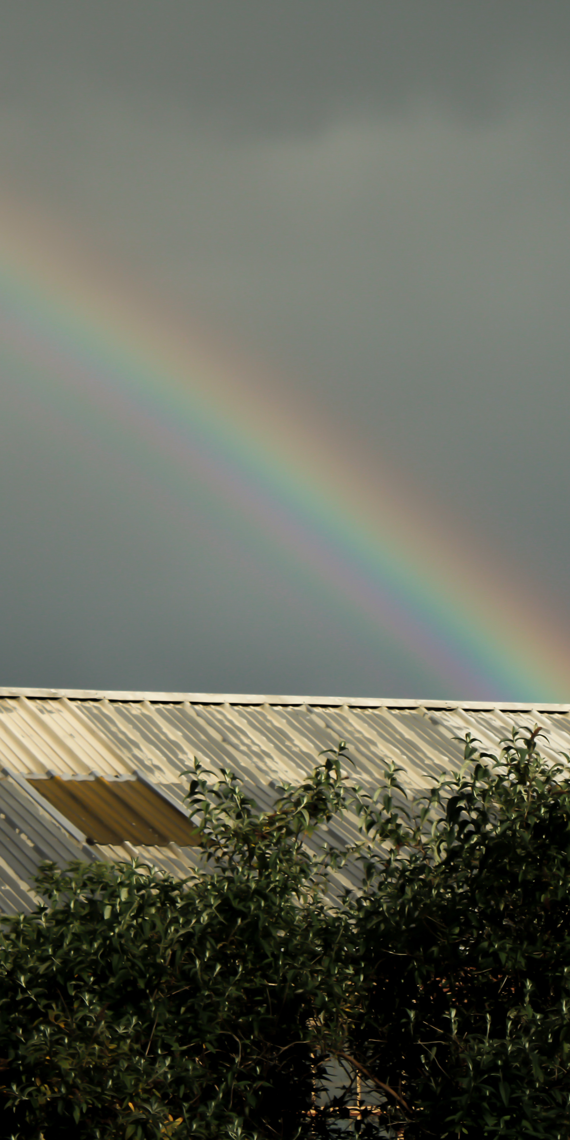 May 4th, 2025 - A rainbow over a building