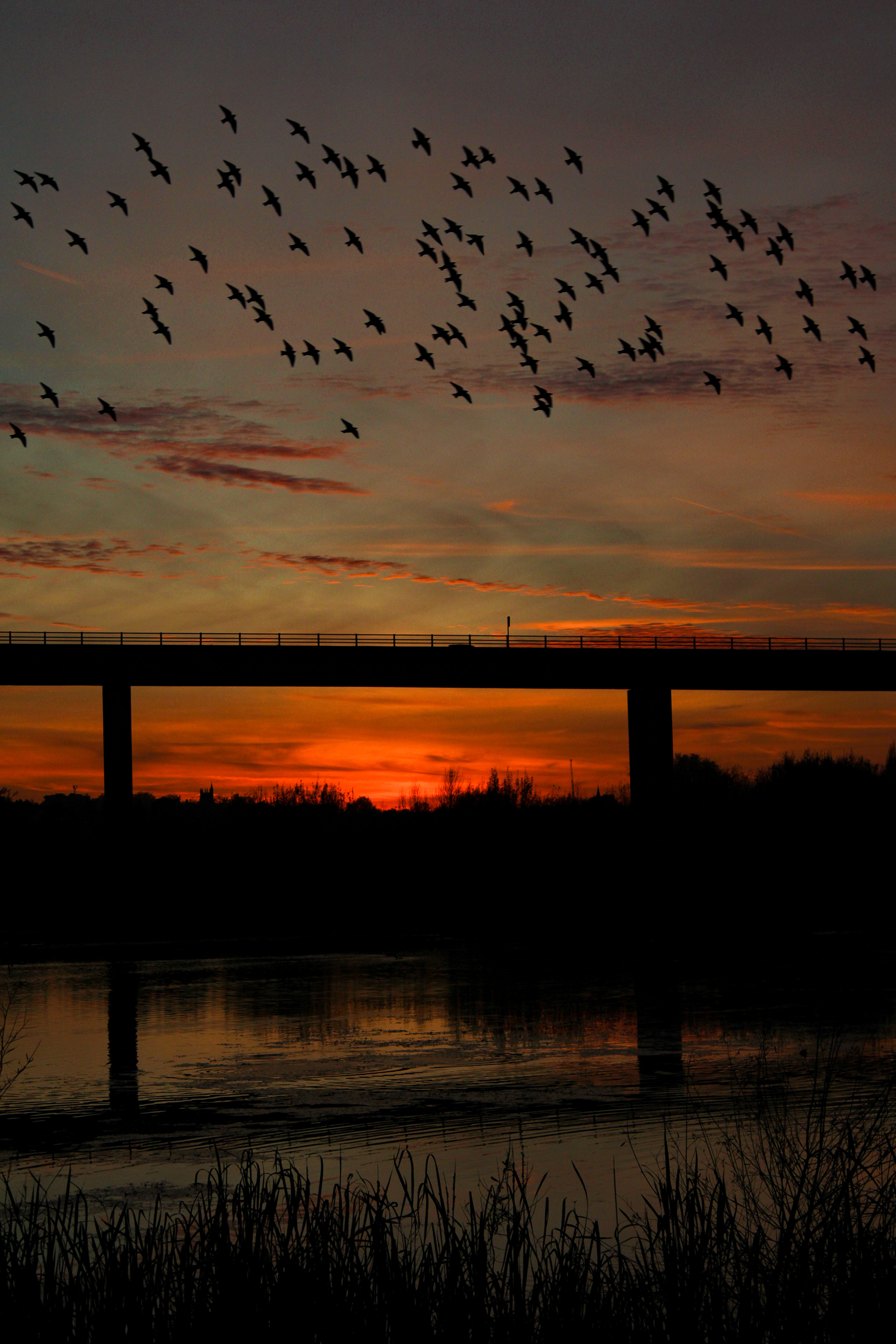 November 13th, 2024 - King's Mead A1O Viaduct at sunset