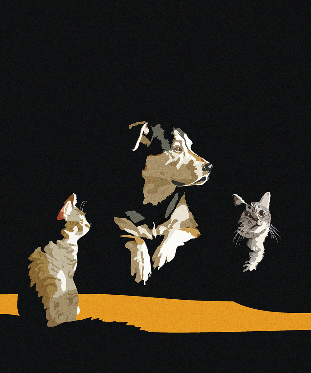 Woven Blanket Design