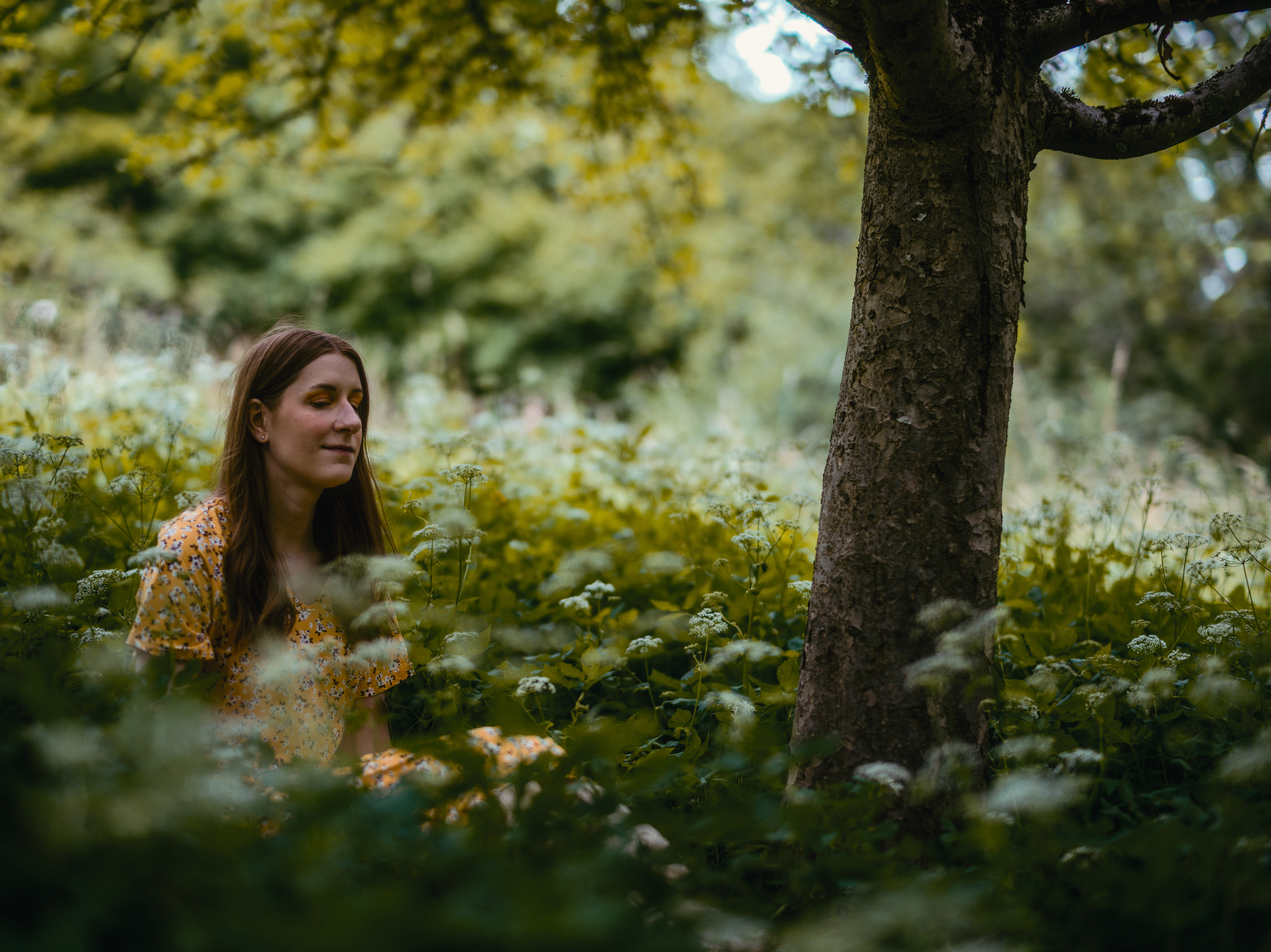 Hasselblad X1D + Mitakon 65mm F1.4 = Yellow Dress Portraits