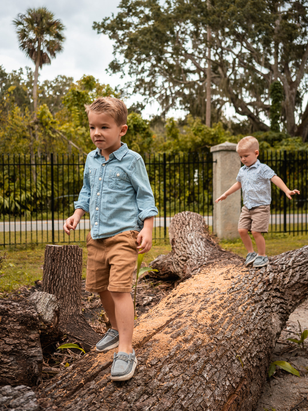 Two brothers balancing on a fallen tree trunk near the garden entrance at Dunlawton Sugar Mill Gardens.
