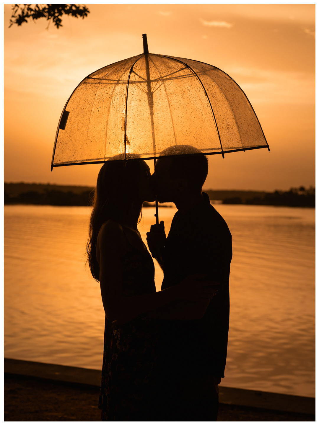 Vertical silhouette of a couple kissing beneath a clear umbrella at Washington Oaks Gardens State Park.