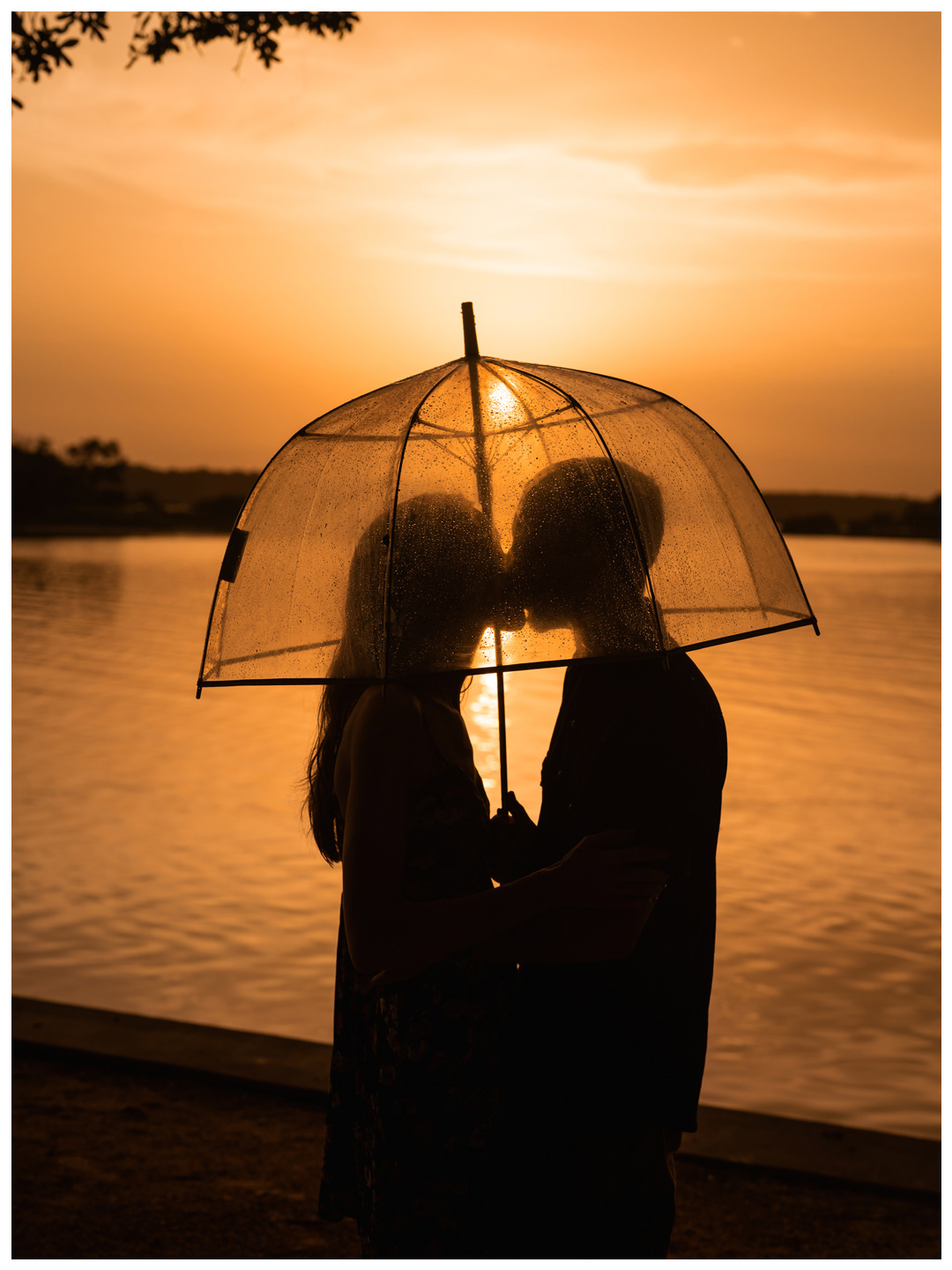 Silhouetted couple embracing beneath a clear umbrella during sunset at Washington Oaks Gardens State Park.