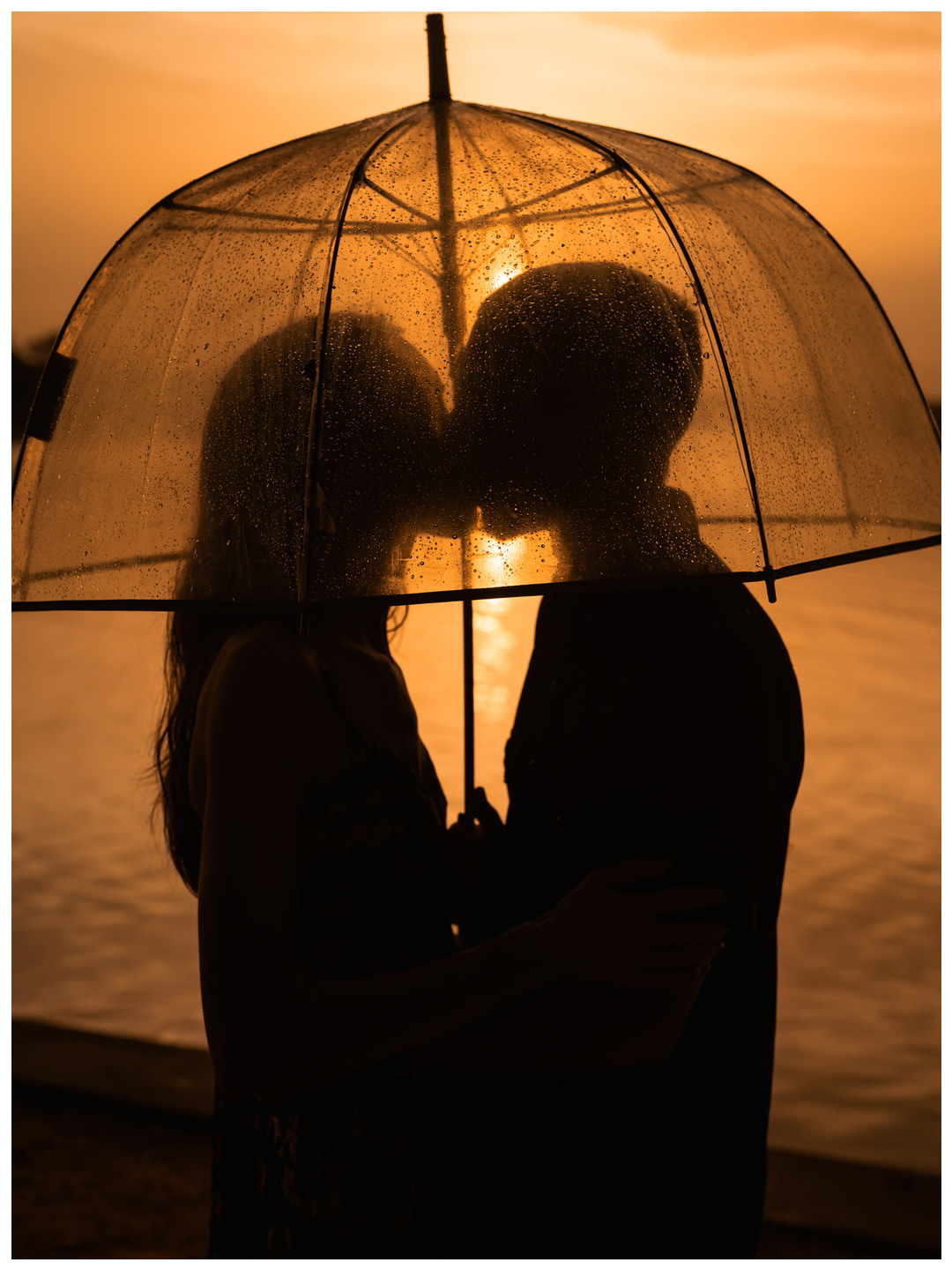 Couple kissing in silhouette beneath a clear umbrella at sunset during a Washington Oaks Gardens State Park photo session.