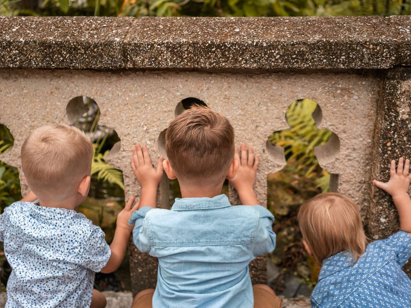 Three young boys looking through carved openings in an old stone wall at Dunlawton Sugar Mill Gardens.