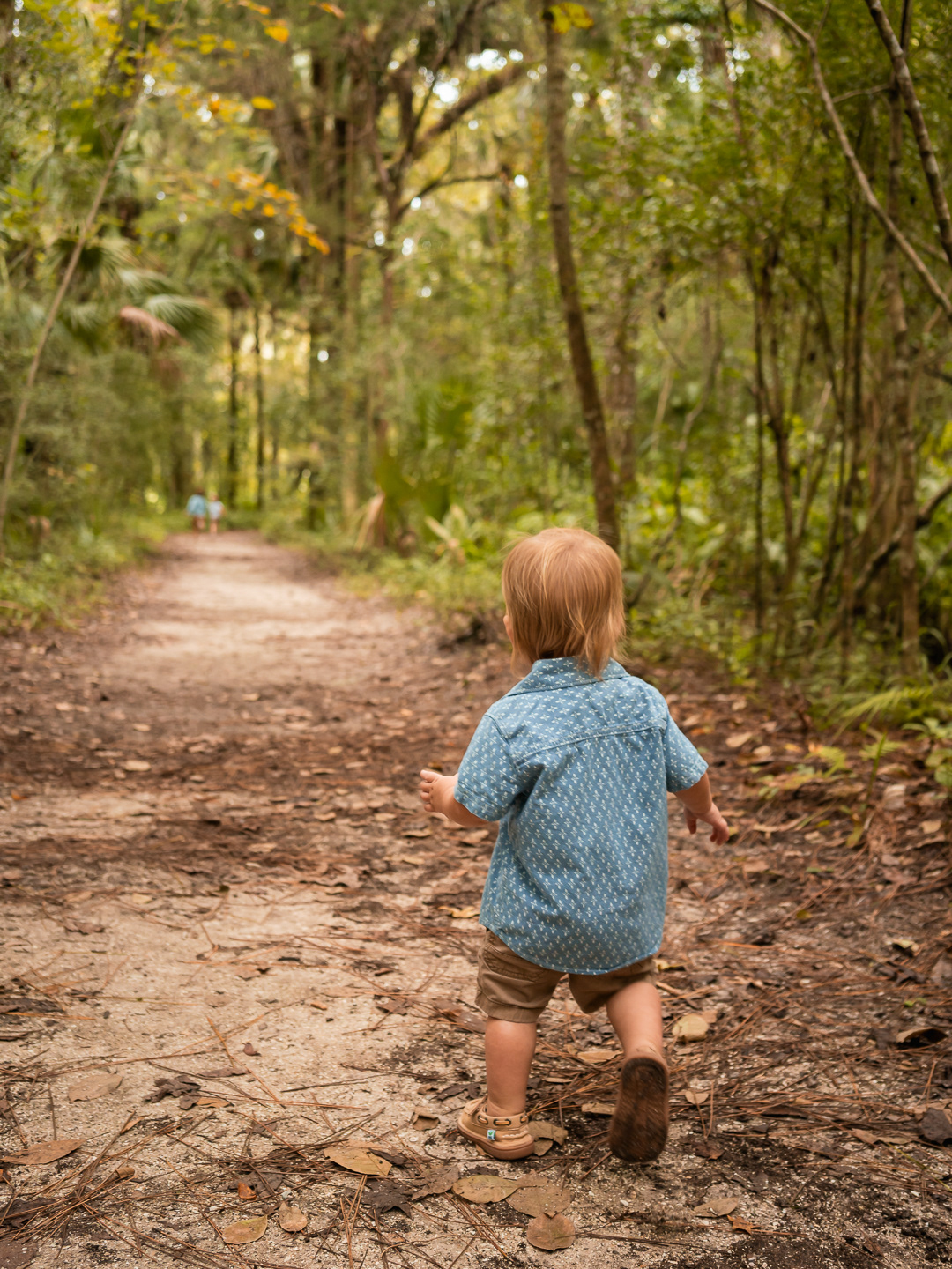 Toddler walking down a wooded path surrounded by greenery during family photos at Dunlawton Sugar Mill Gardens.