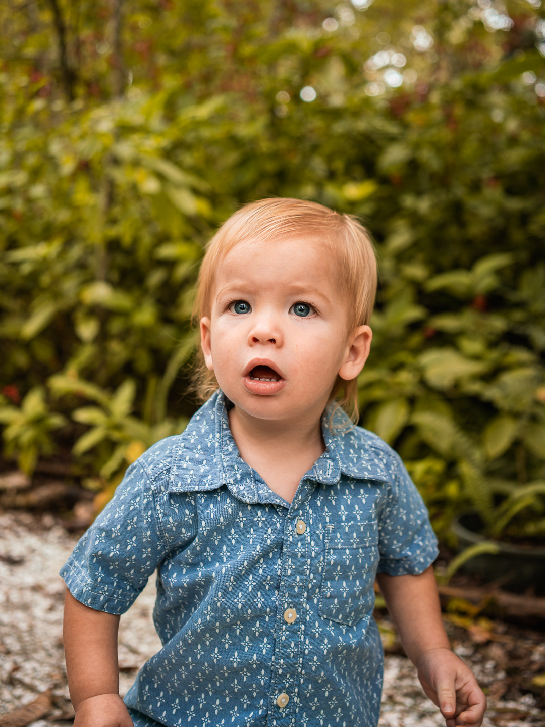 Toddler standing on a garden path surrounded by lush greenery during family photos in Port Orange, Florida.
