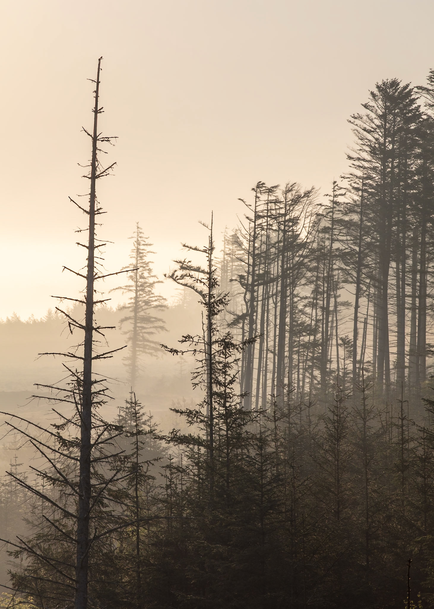 Nationalpark Thy, Denmark | Martin Bay