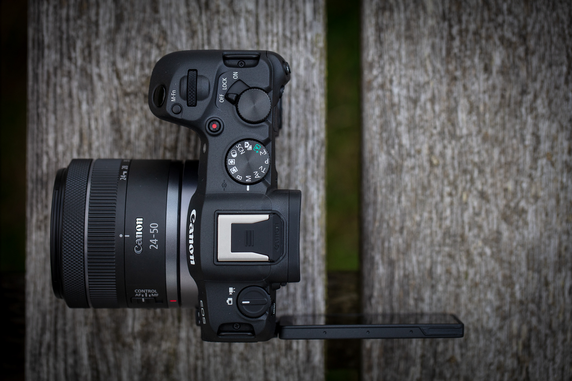 Canon R8 with RF 24–50mm