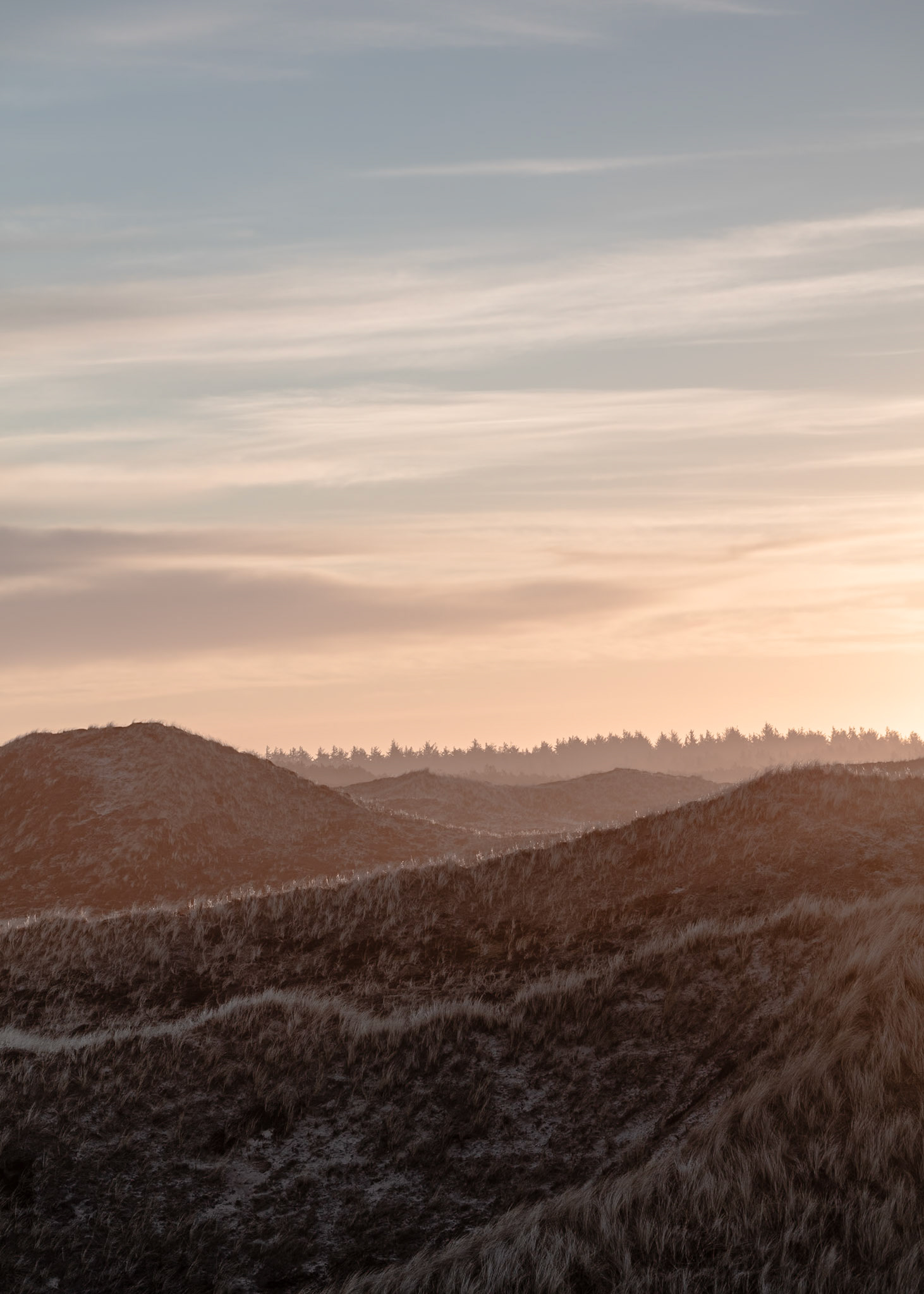 Nationalpark Thy, Denmark | Martin Bay