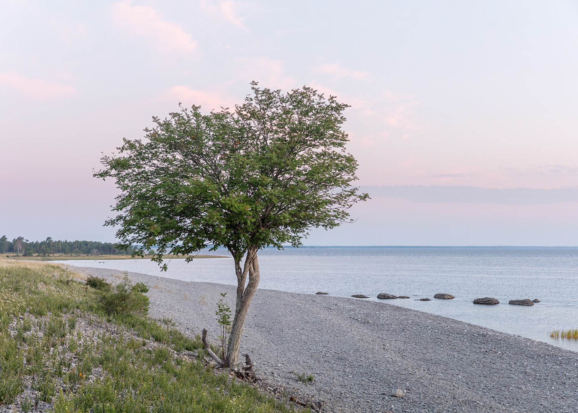 Gotland, Coast | Martin Bay