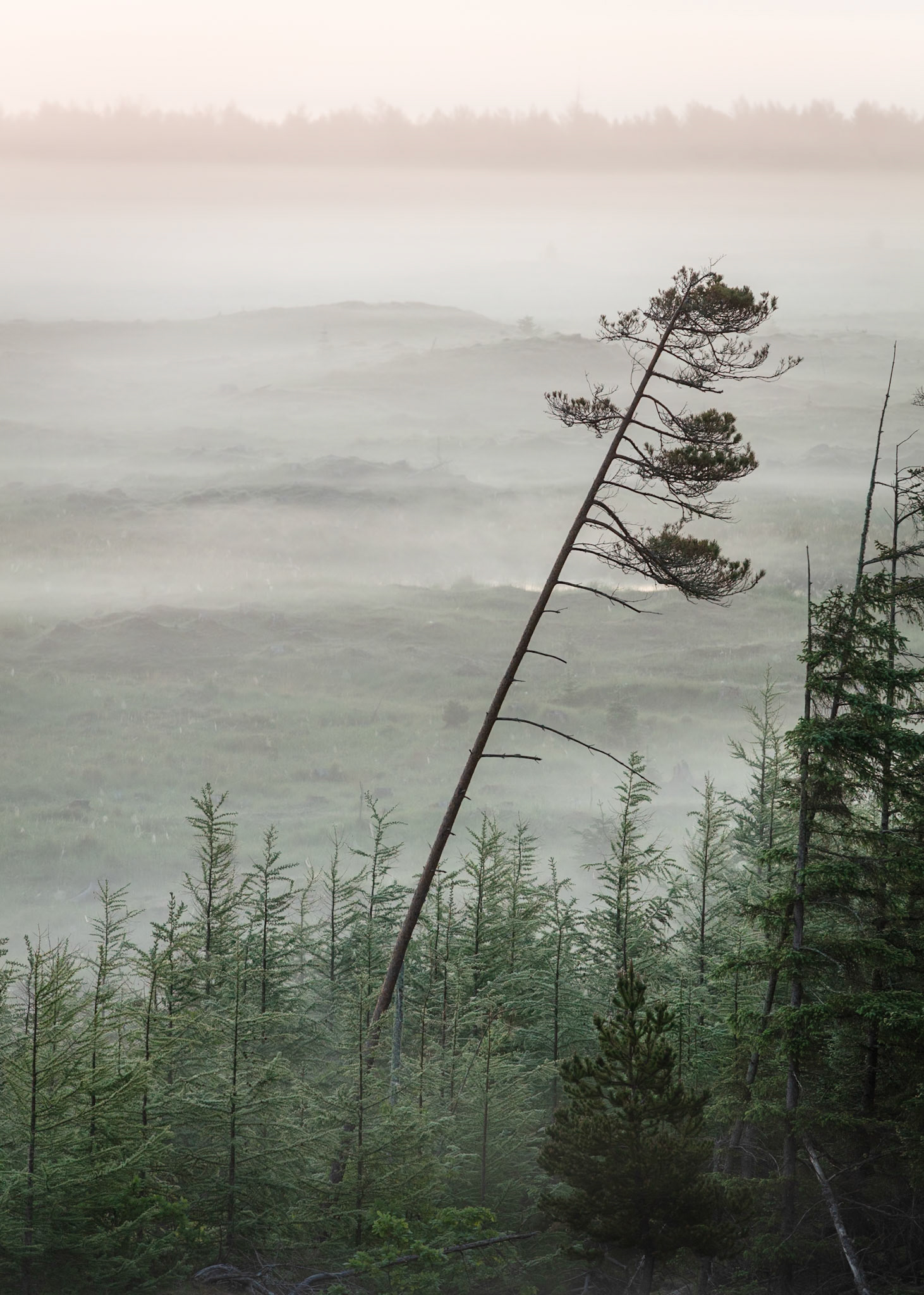 Nationalpark Thy, Denmark | Martin Bay