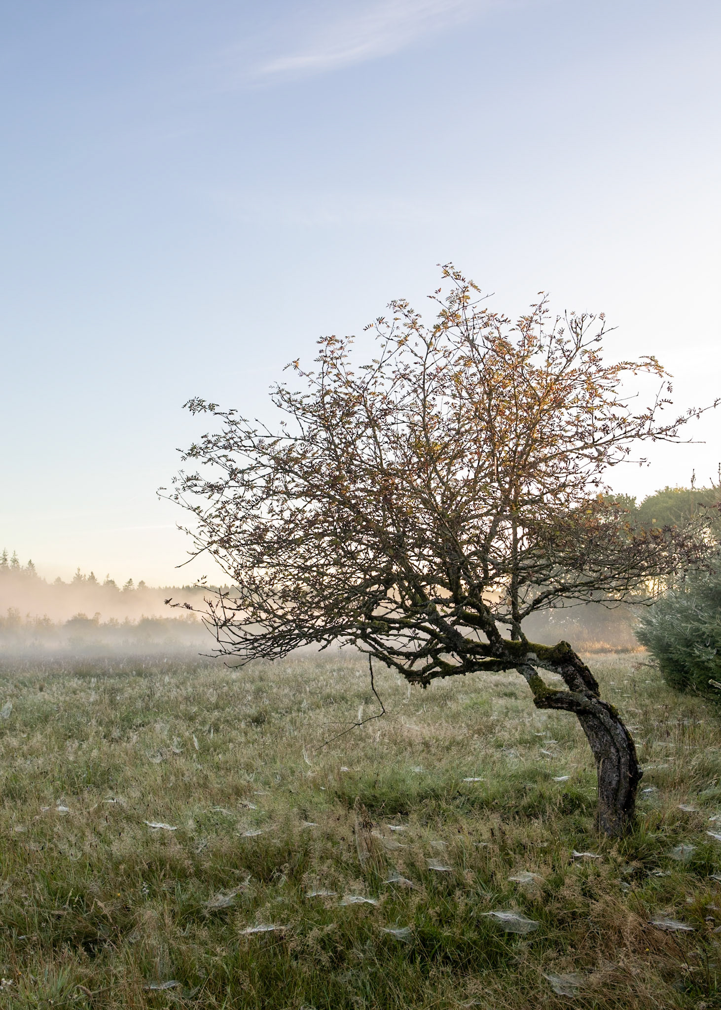 Silkeborg, Denmark | Martin Bay