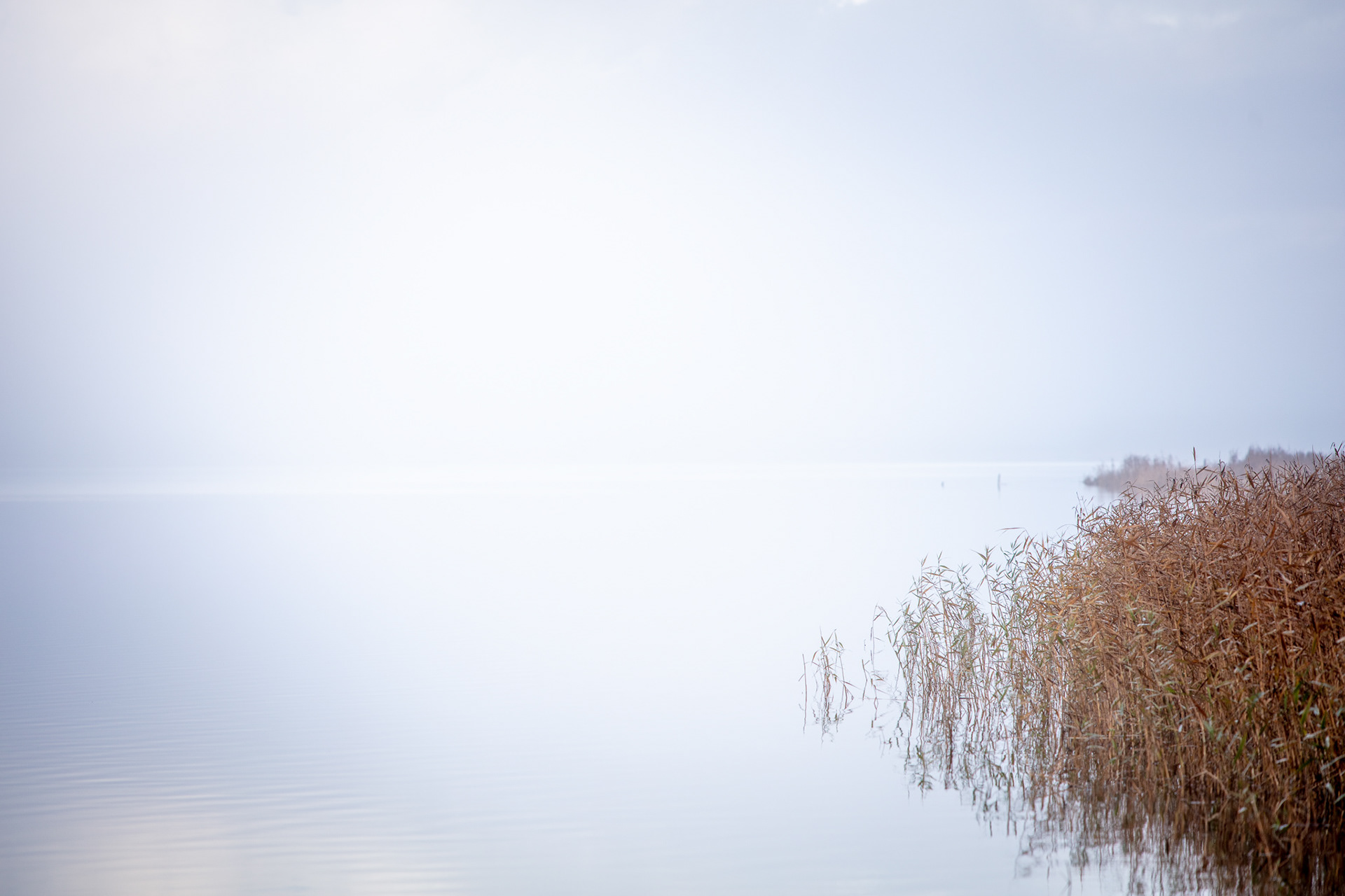 Photographing quiet landscapes with a 70-200mm lens | Martin Bay