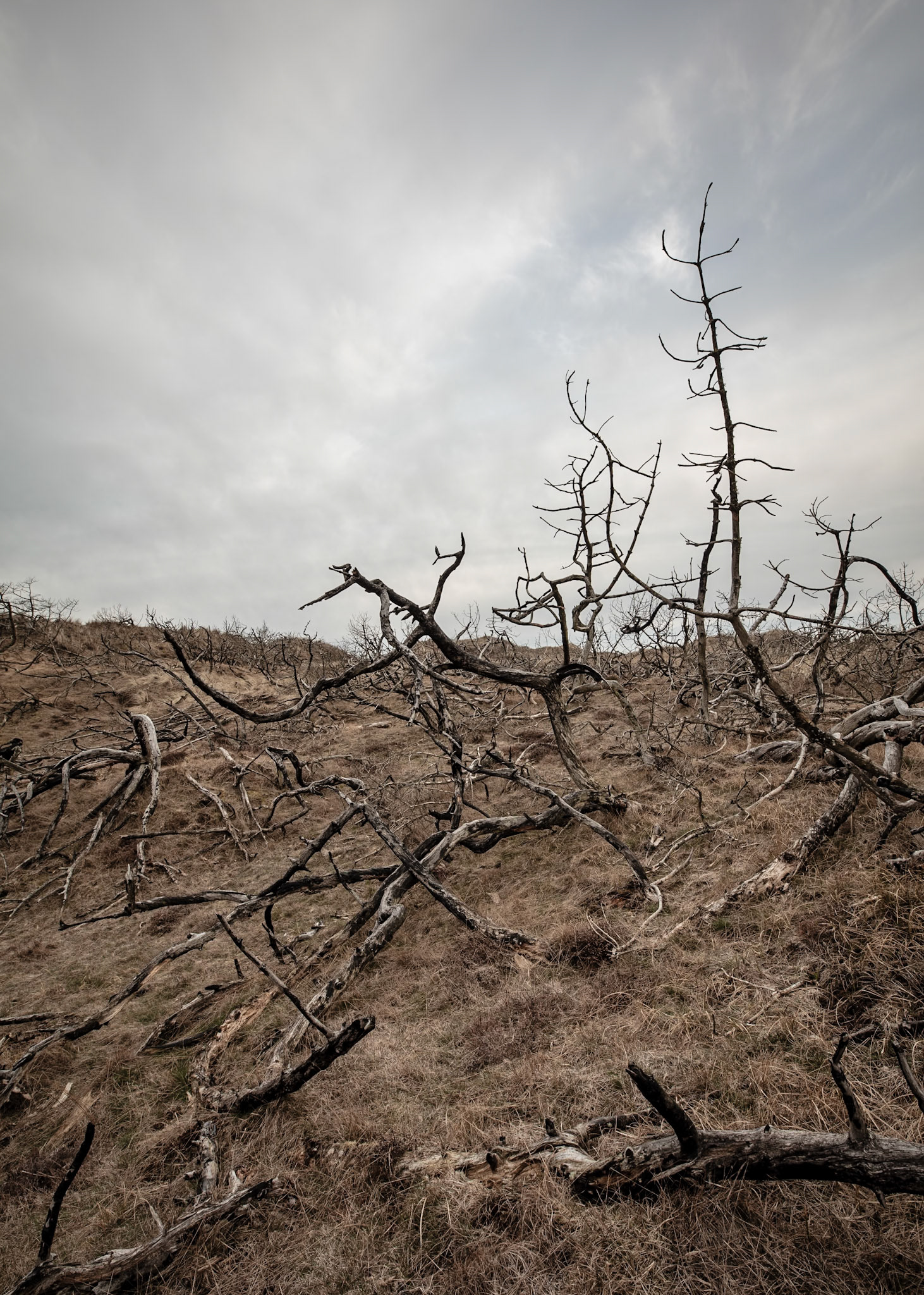 Nationalpark Thy, Denmark | Martin Bay