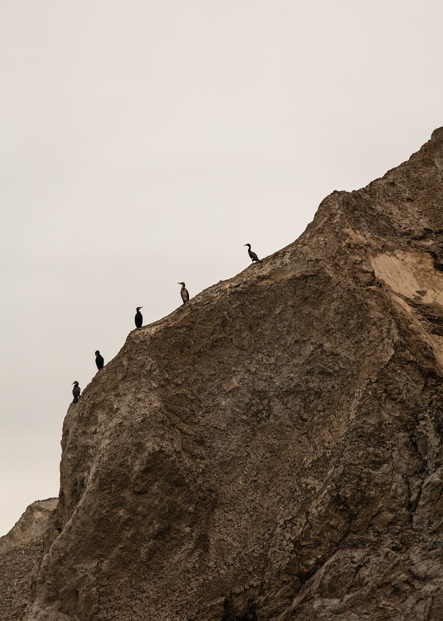 Rubjerg Knude, Denmark | Martin Bay