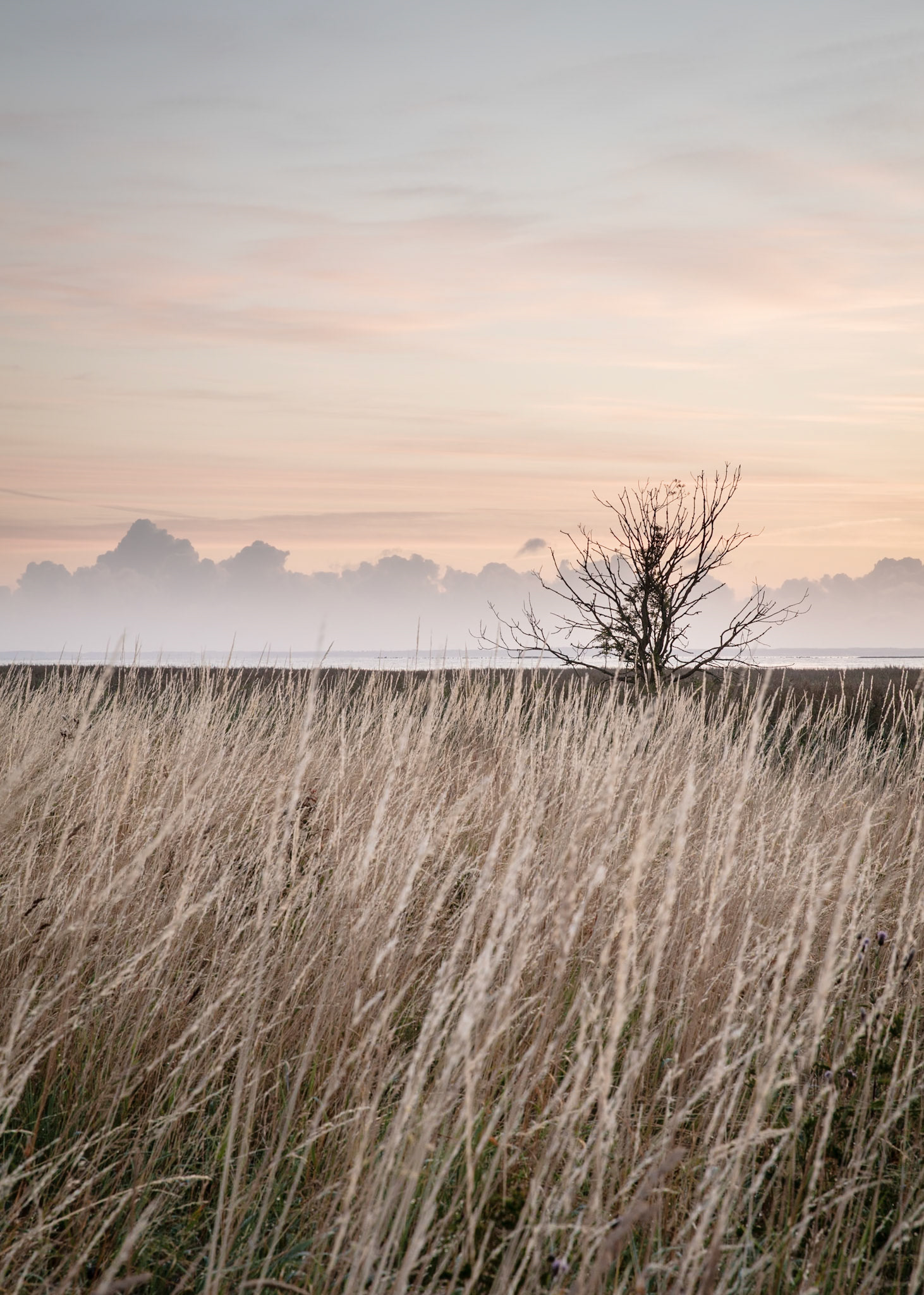 Nature photography, Denmark | Martin Bay