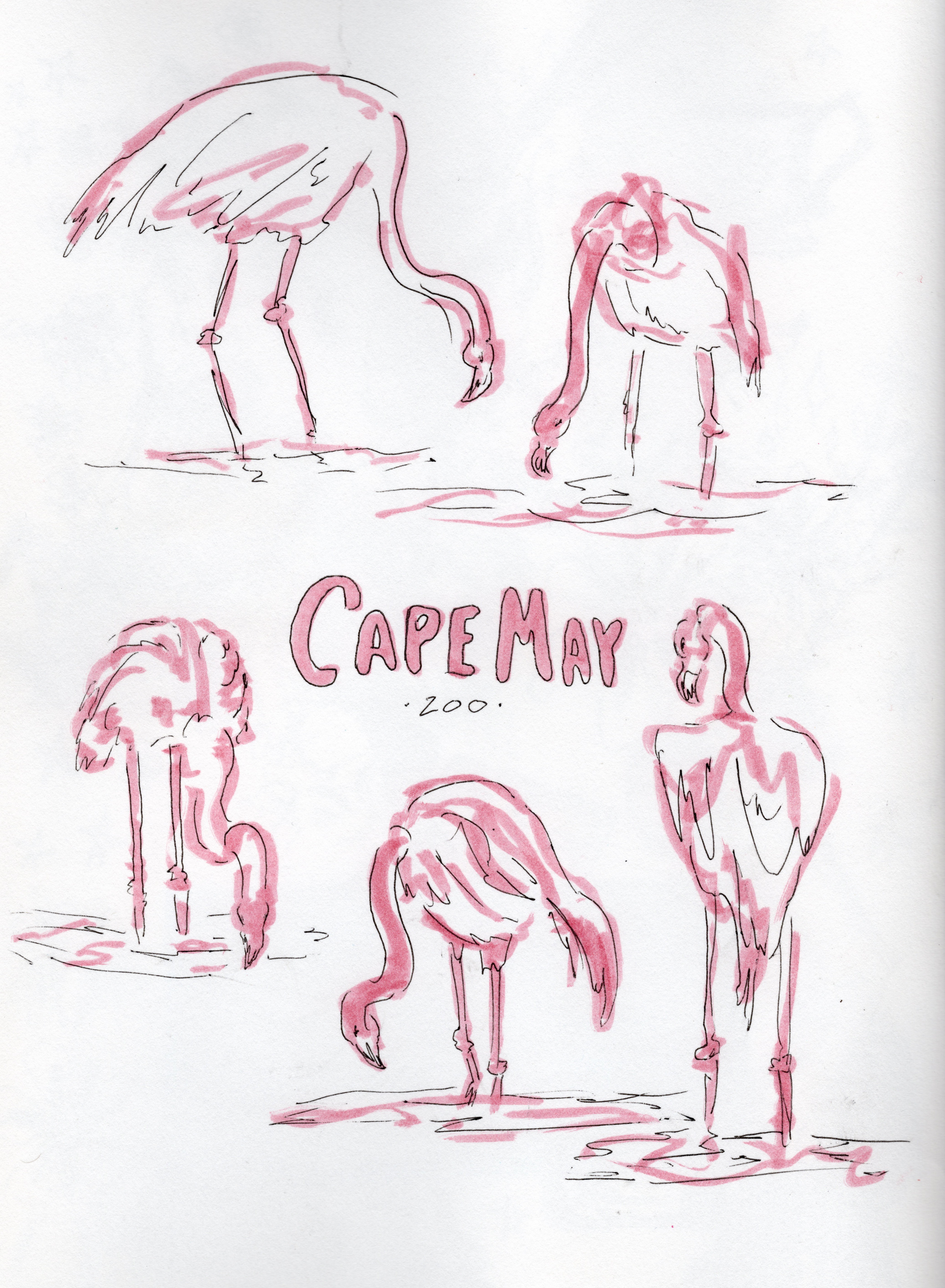 Cape May Sketchbook, Pen