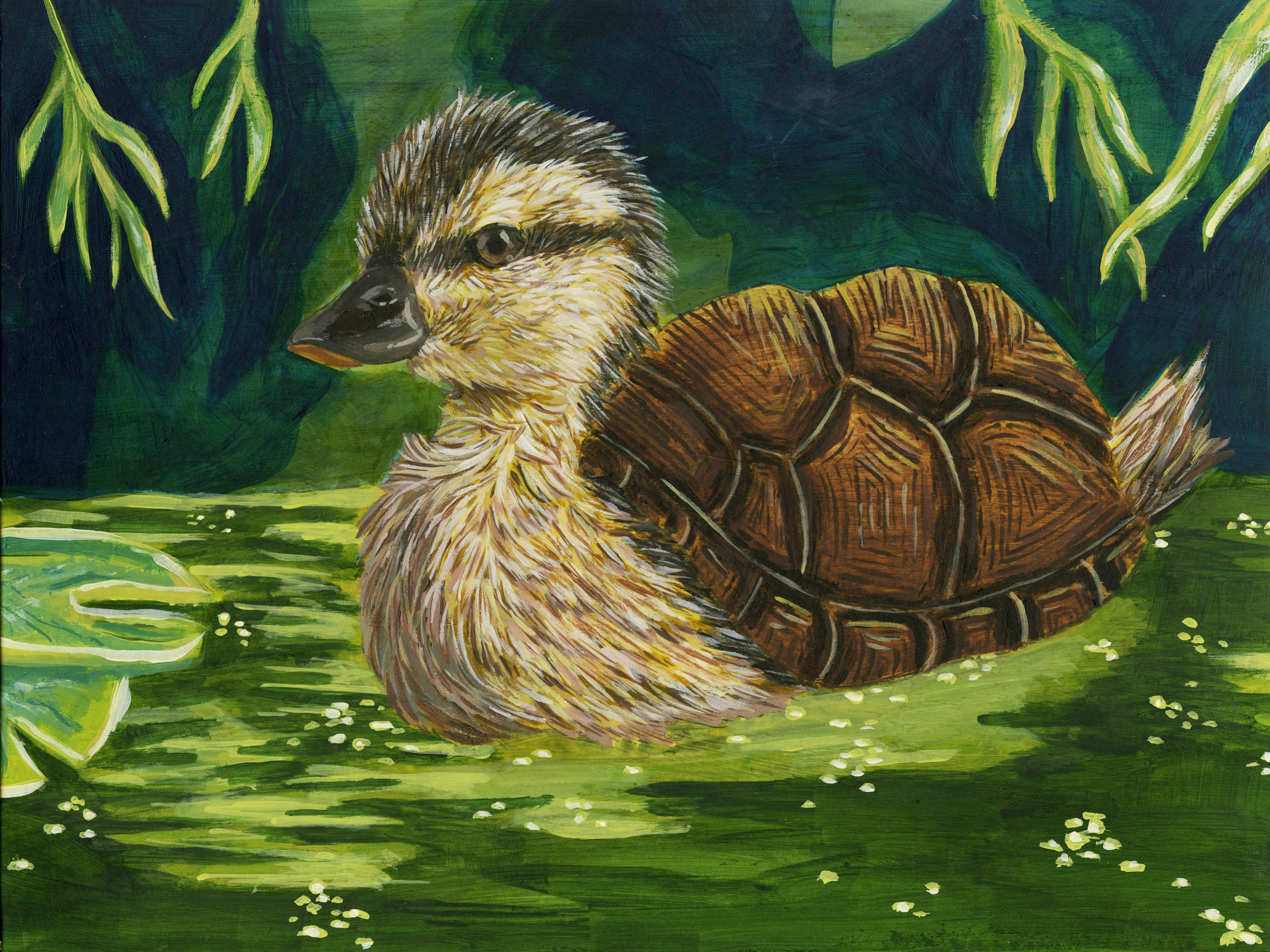 Turtle Duck, Acrylic