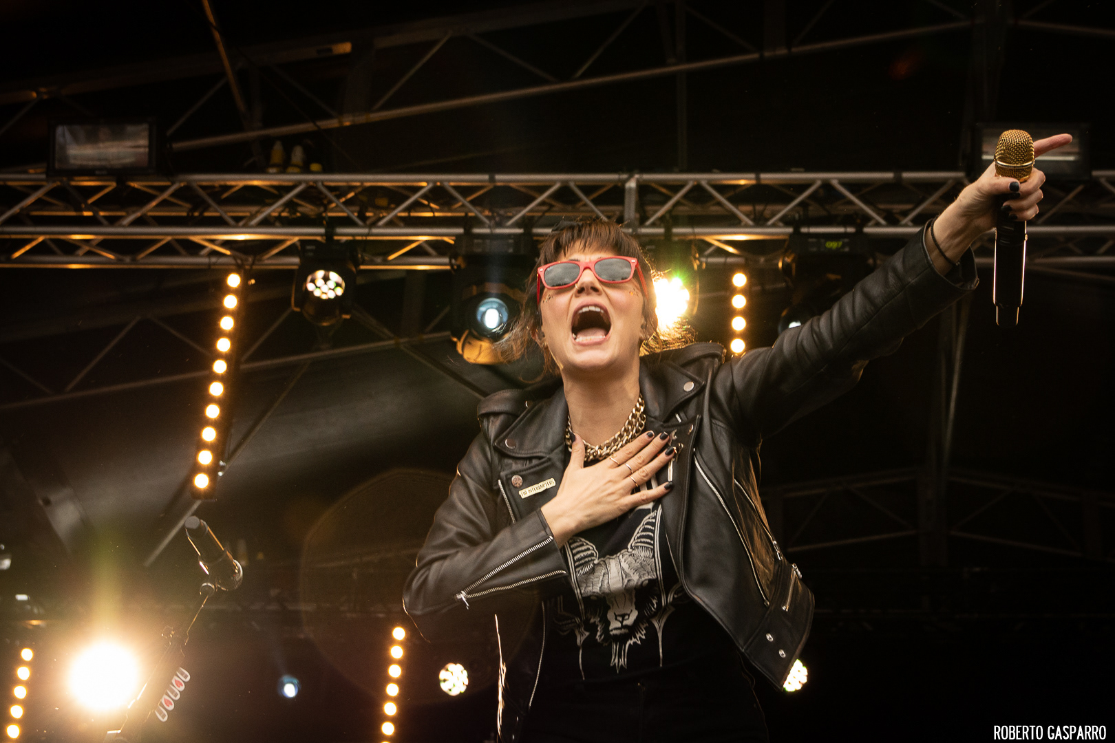 The Interrupters