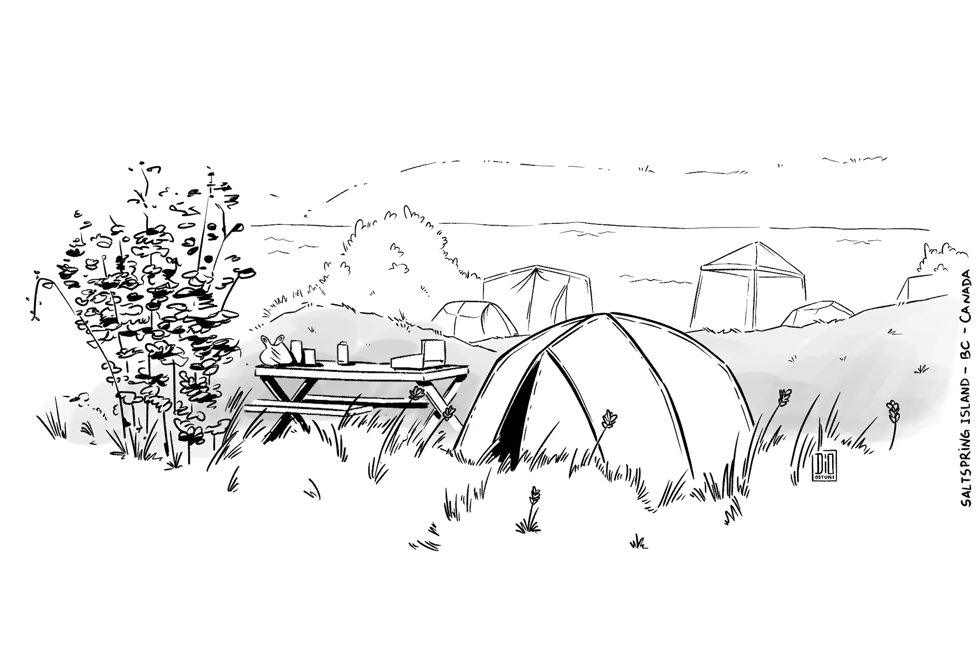 Sketch on location at Saltspring Island - BC - Traditional Ink/Digital Painting