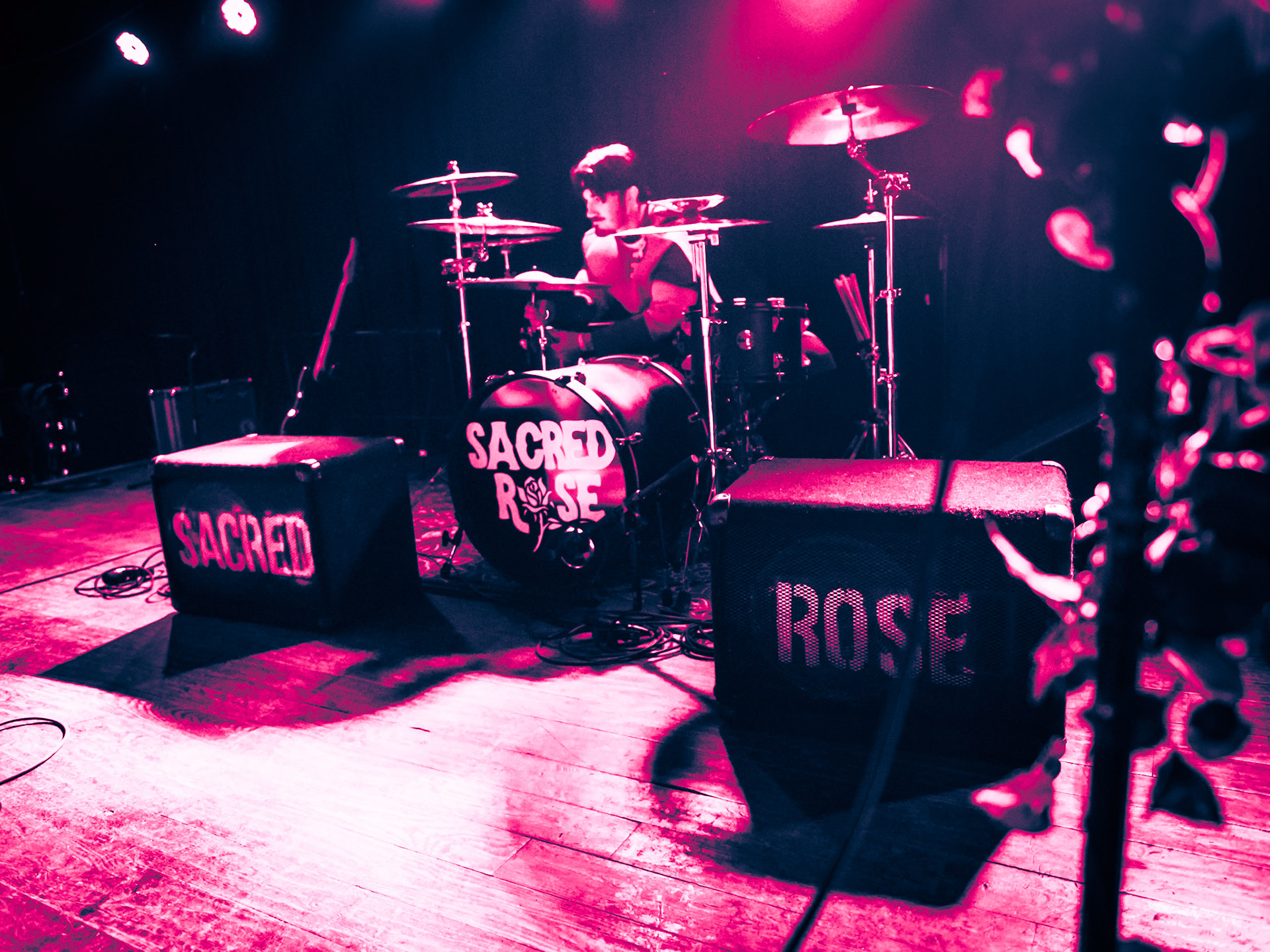 Sacred Rose - October 2025