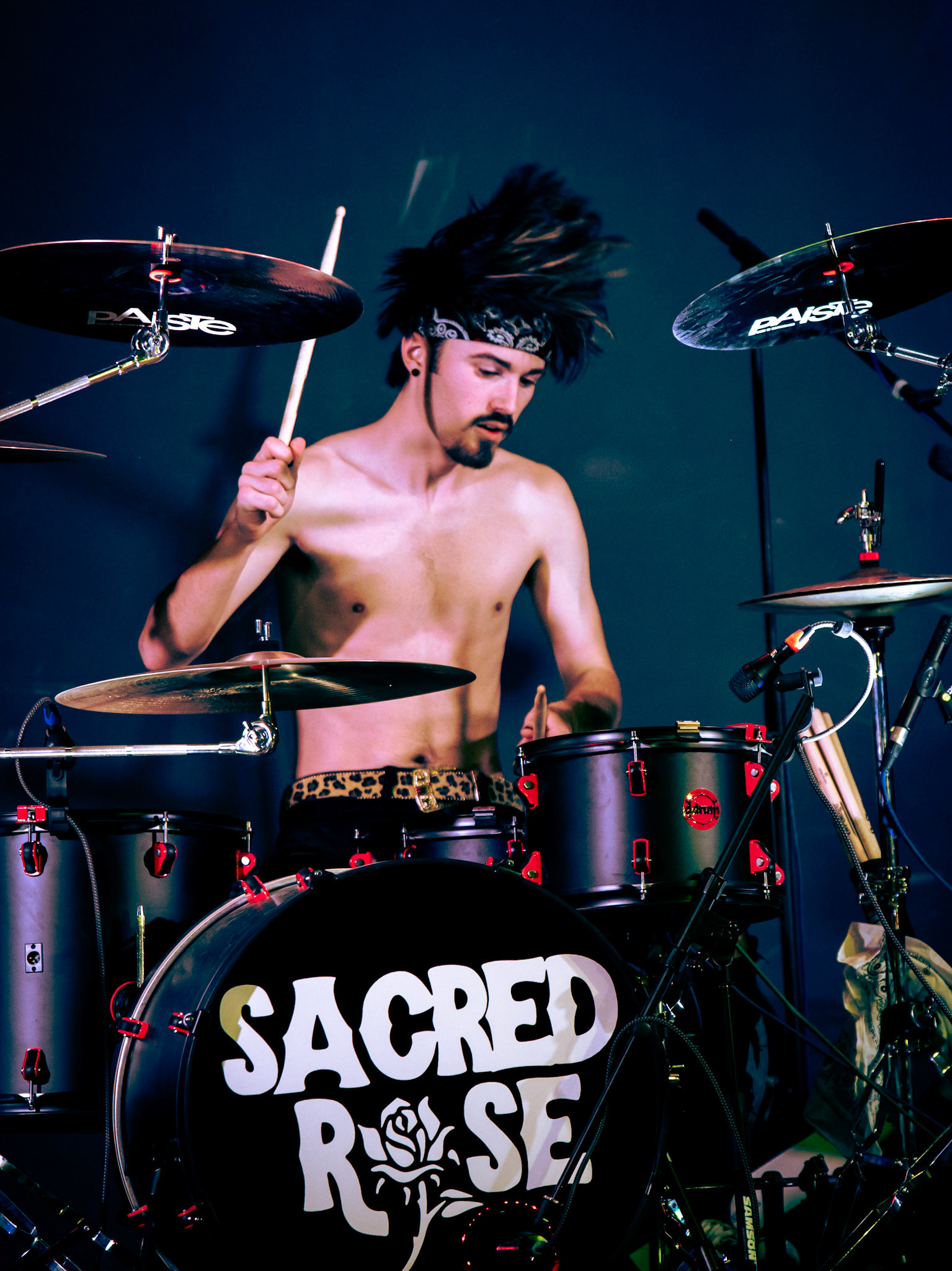 Sacred Rose - January 2026