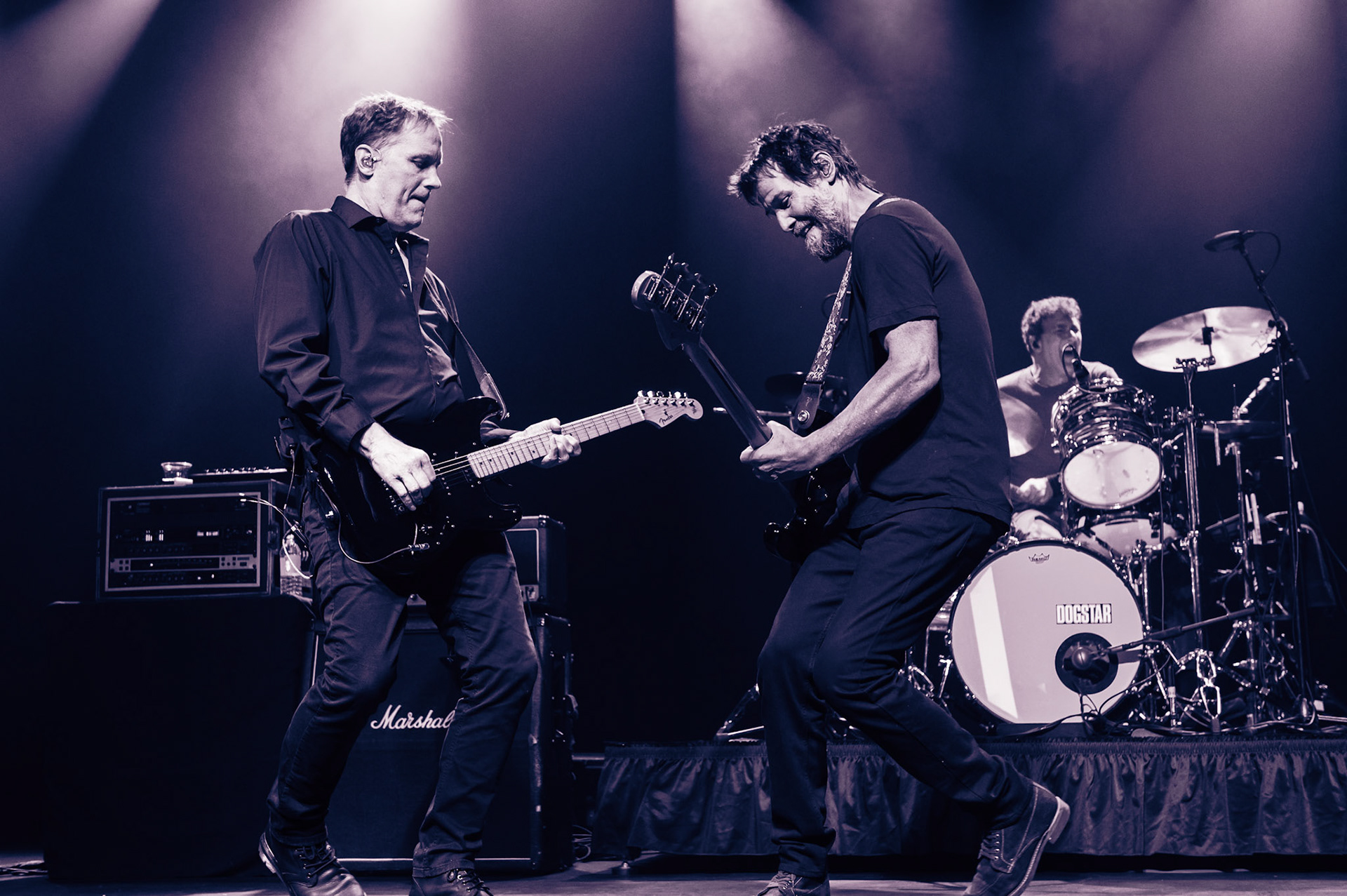 Dogstar 8/31/24