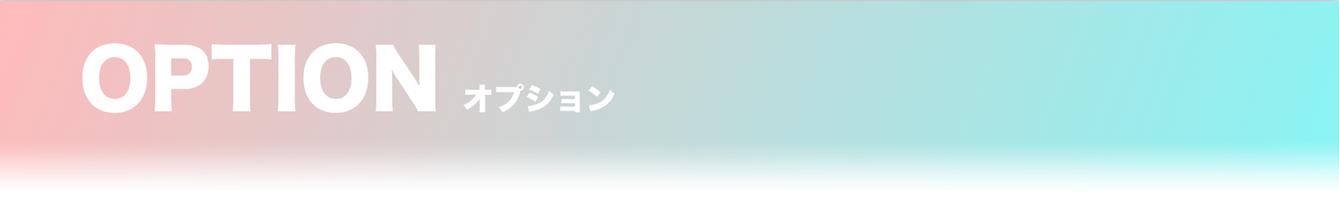 OPTION/オプション