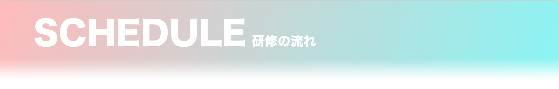 SCHEDULE/研修の流れ