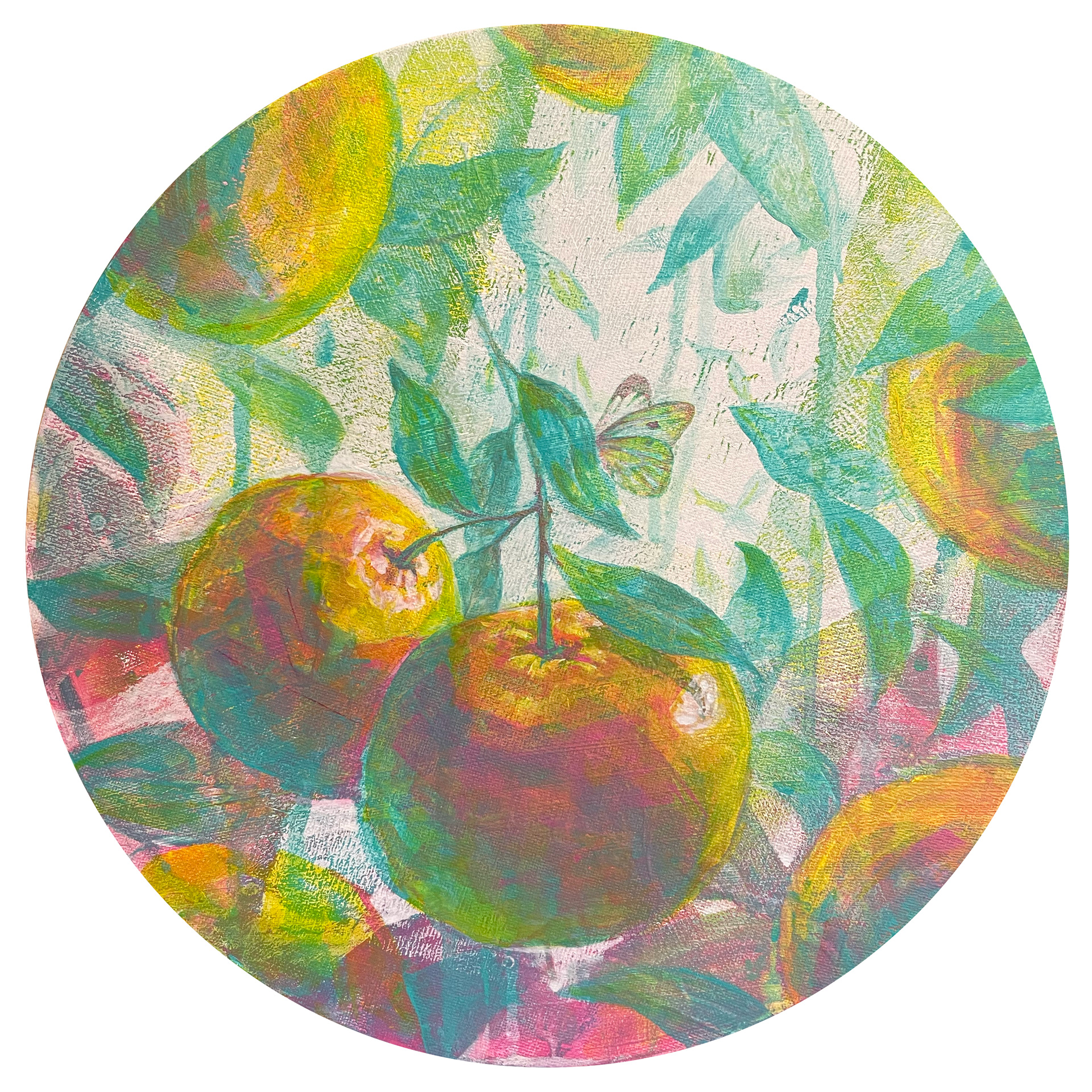 「せとか」SOLD OUT