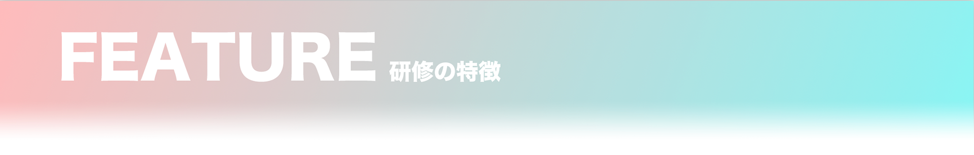 FEATURE/研修の特徴