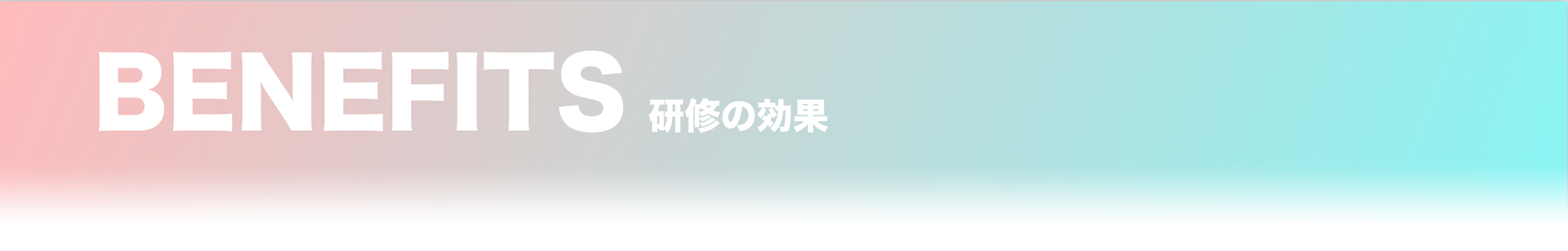 BENEFITS/研修の効果