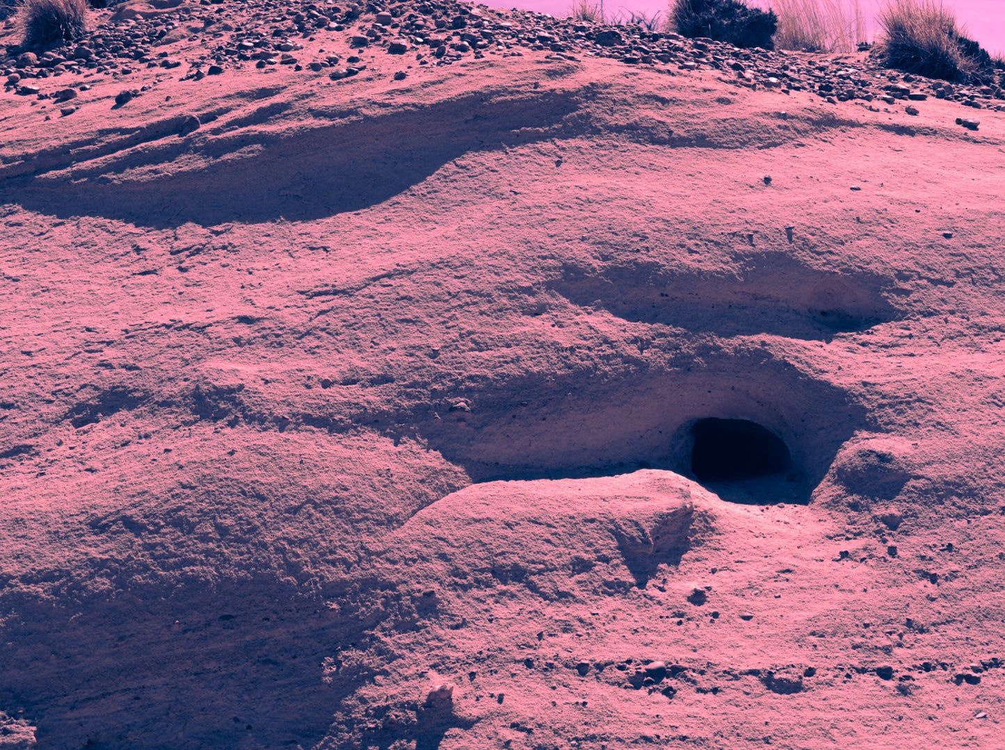 Bisti/De-Na-Zin Wilderness, Diné Nation, Mar. 2026.