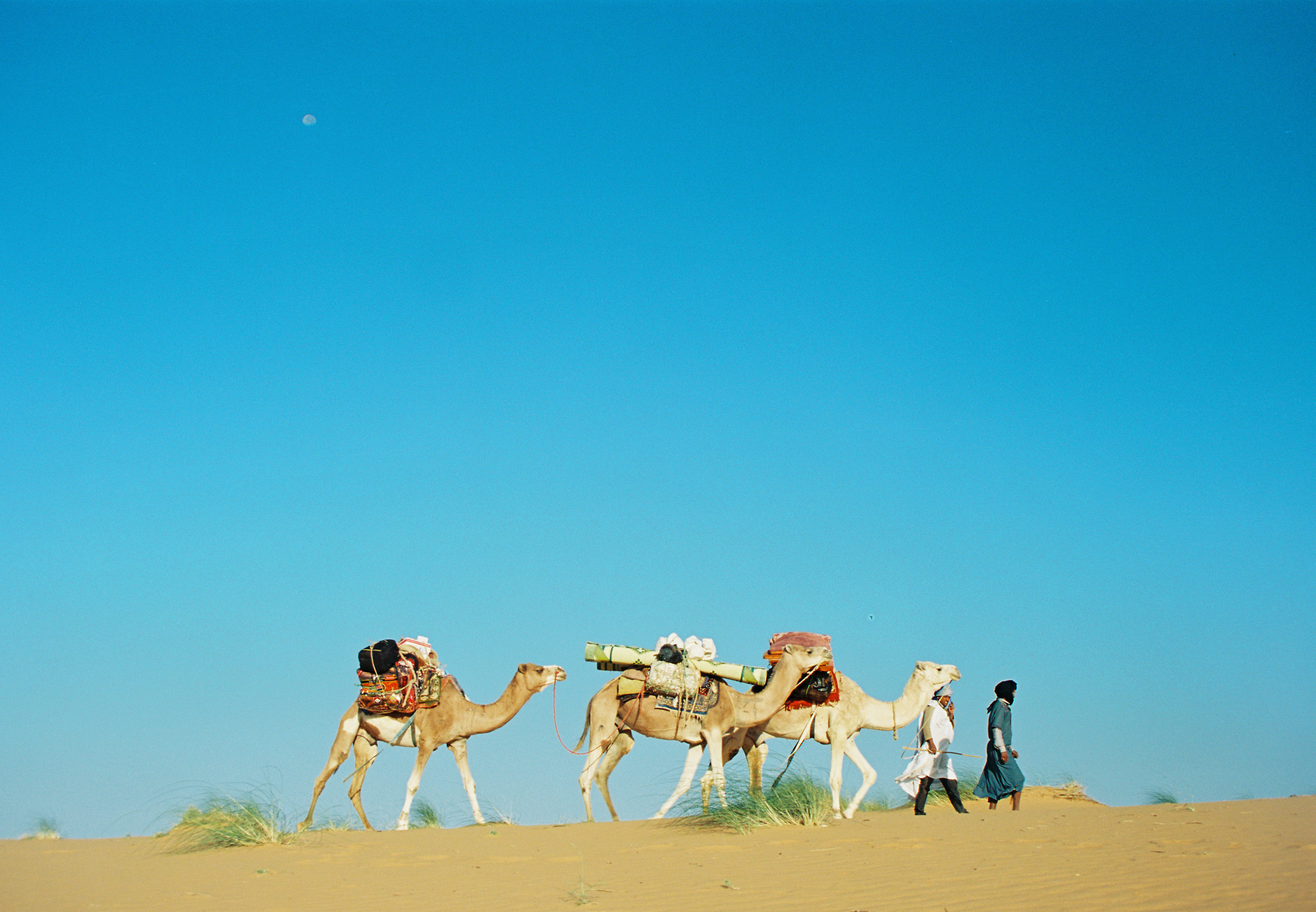 35mm: Elamine and Didi