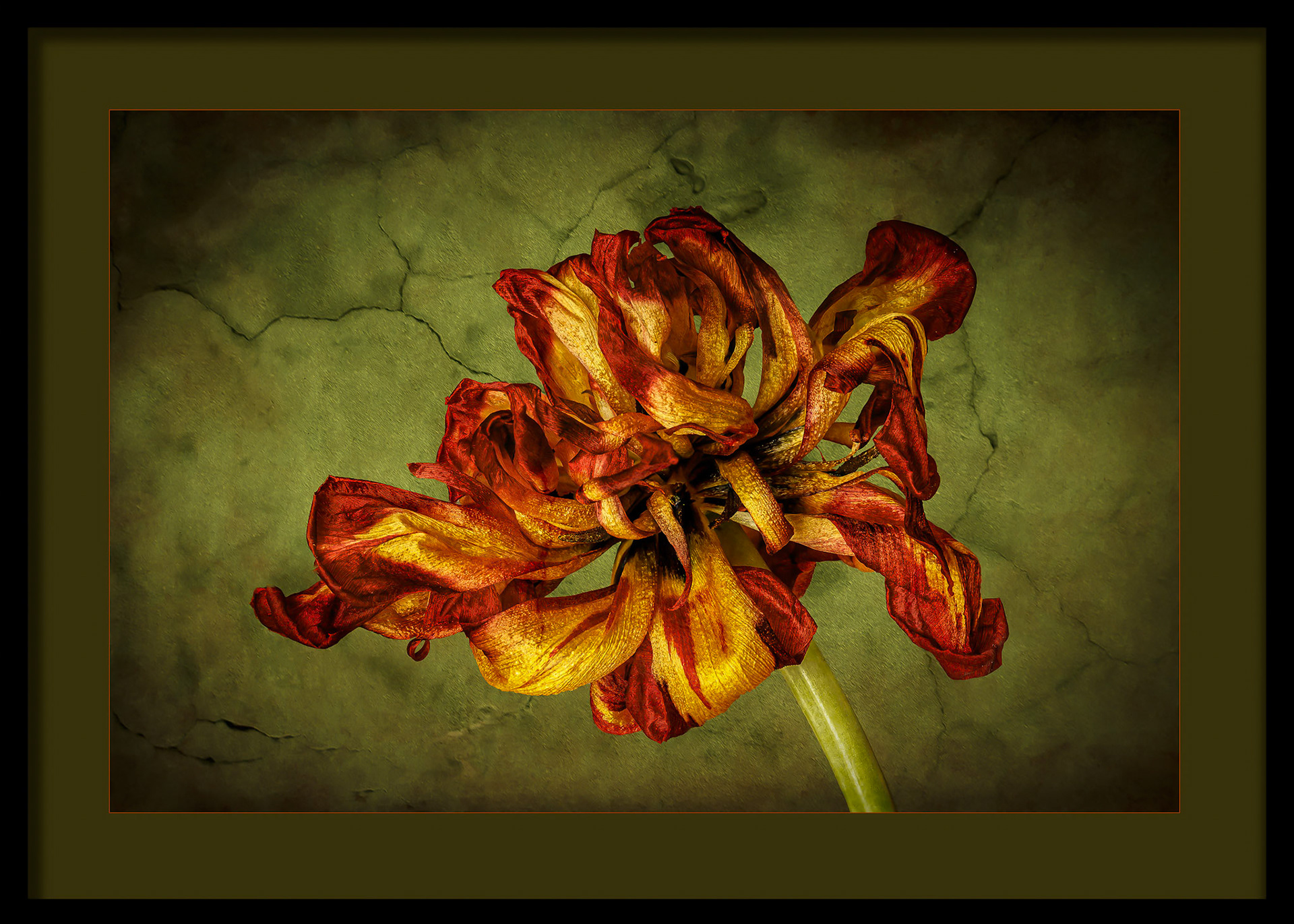 Skönheten i förfallet.... 50 x 70 cm