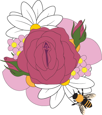 Rose Vulva Illustration