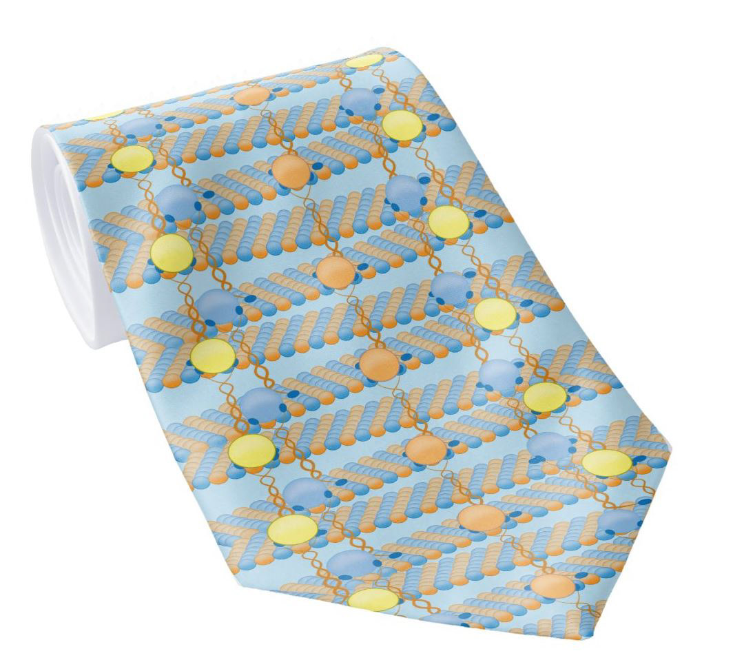 Walking Kinesin Motor Protein Pattern
