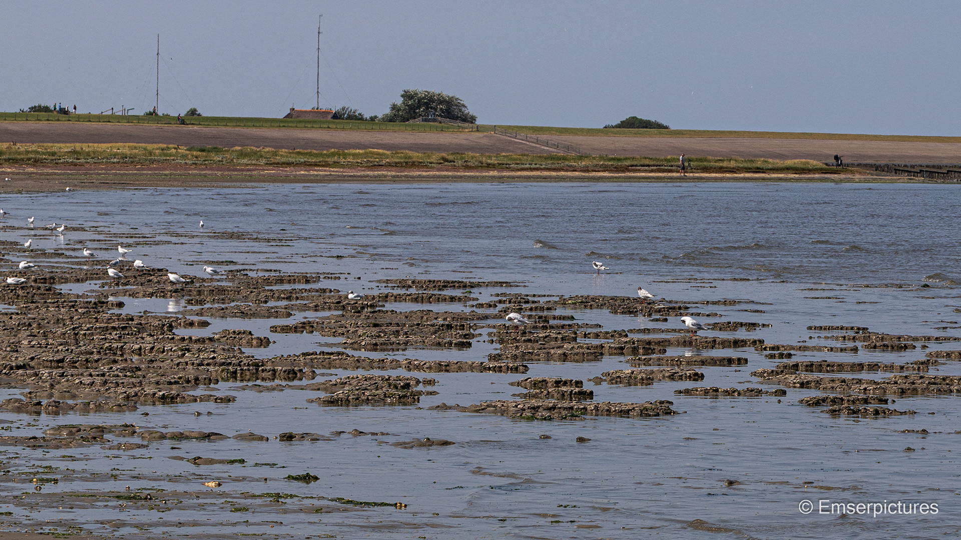 Wattenmeer bei Peazens-Moddergat